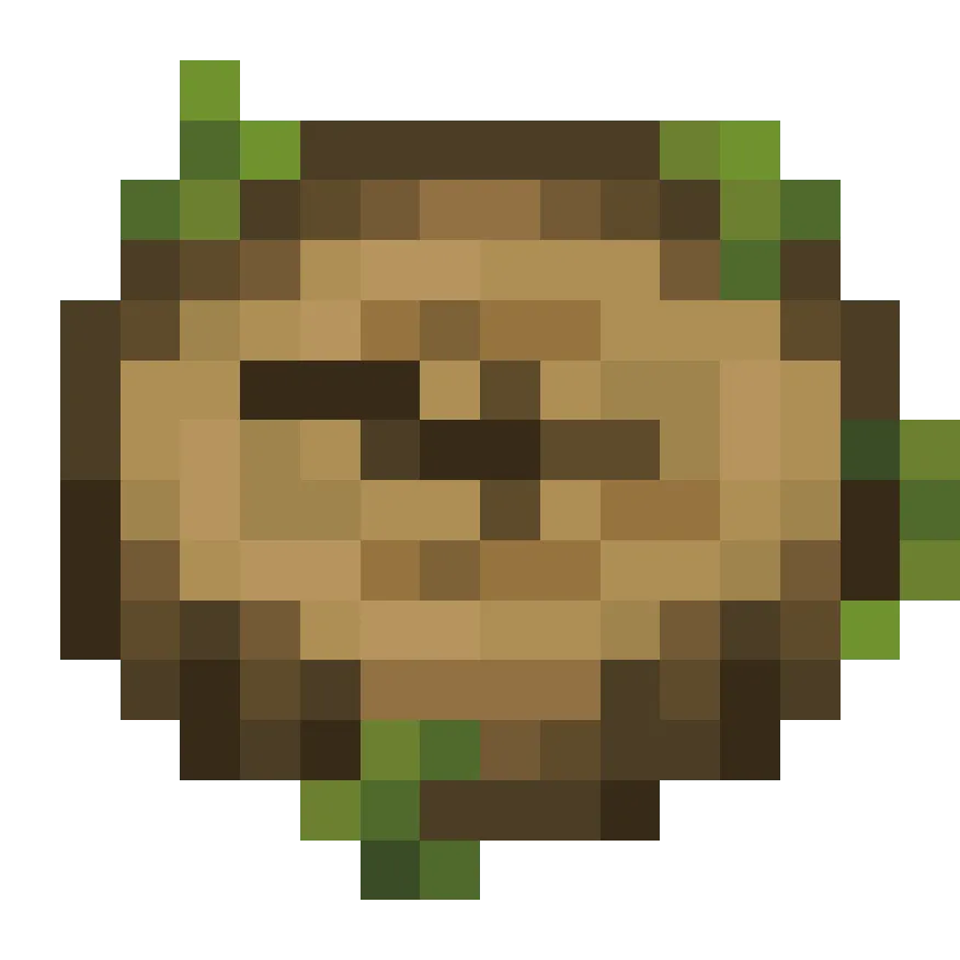 Fresh Nature's Compass, Текстуры, Minecraft