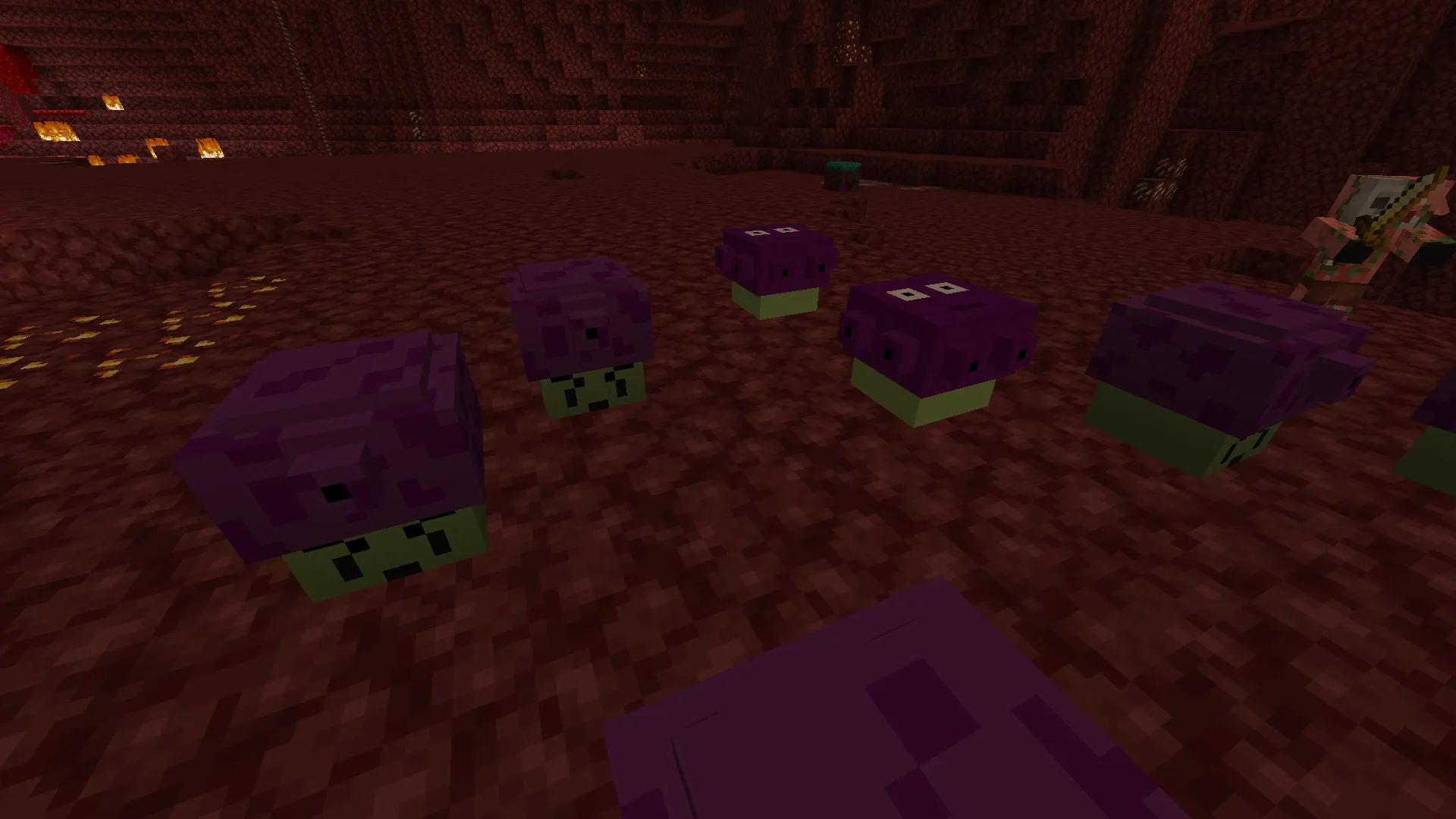 ArgentCombine's PVZ Shrooms — скриншот 1 (Текстуры, Minecraft)