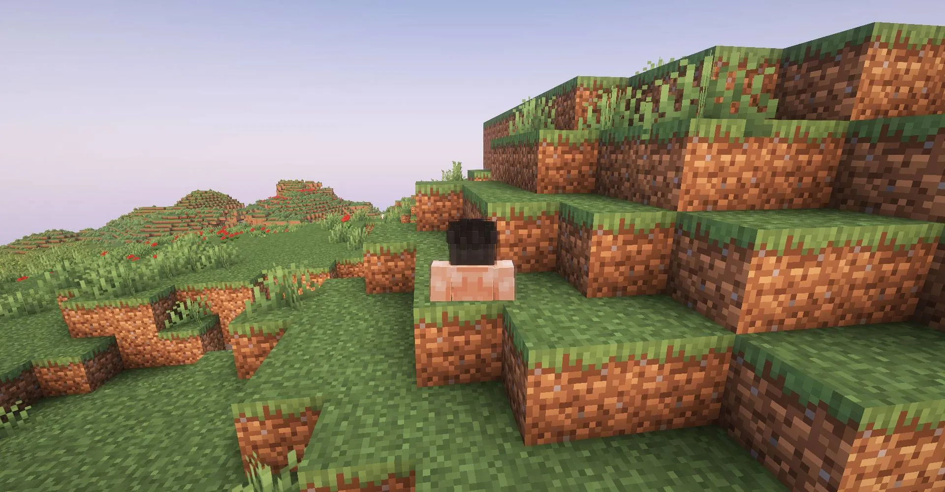 The Boys : New world, Моды, Minecraft