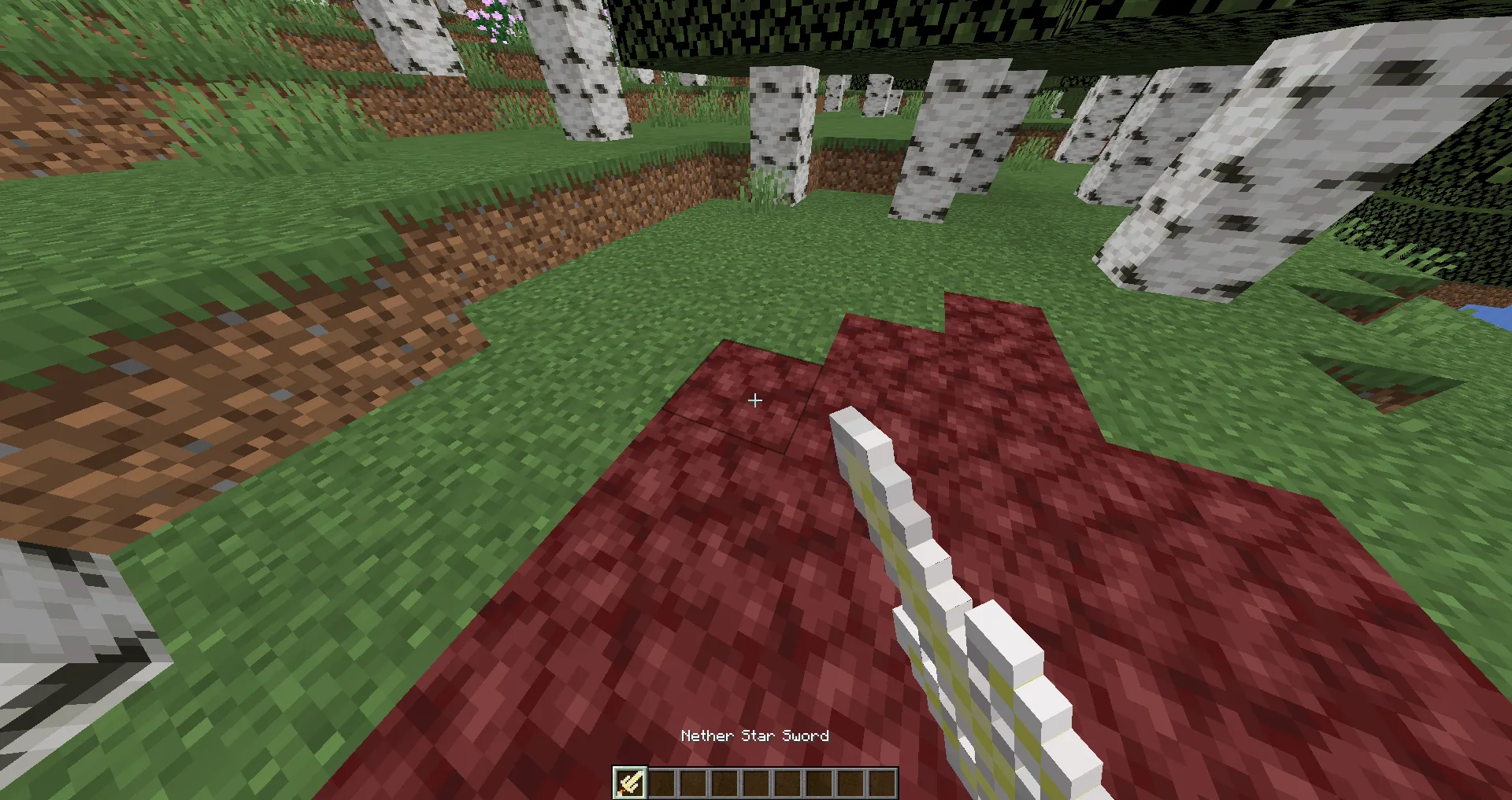 Wild Nether Update, Моды, Minecraft