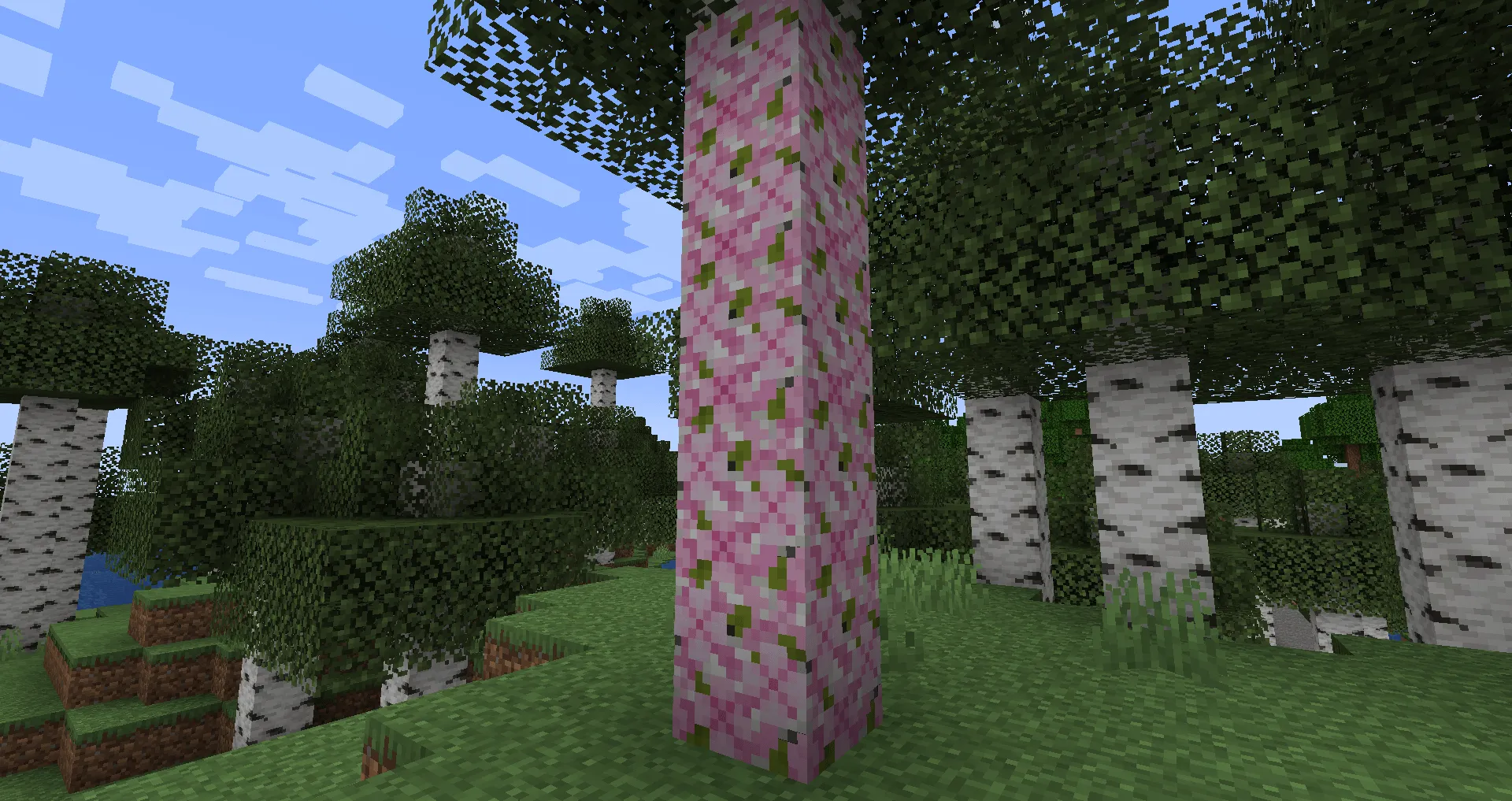 Camol, Моды, Minecraft