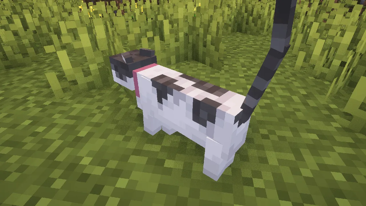 Whiskers — скриншот 3 (Текстуры, Minecraft)
