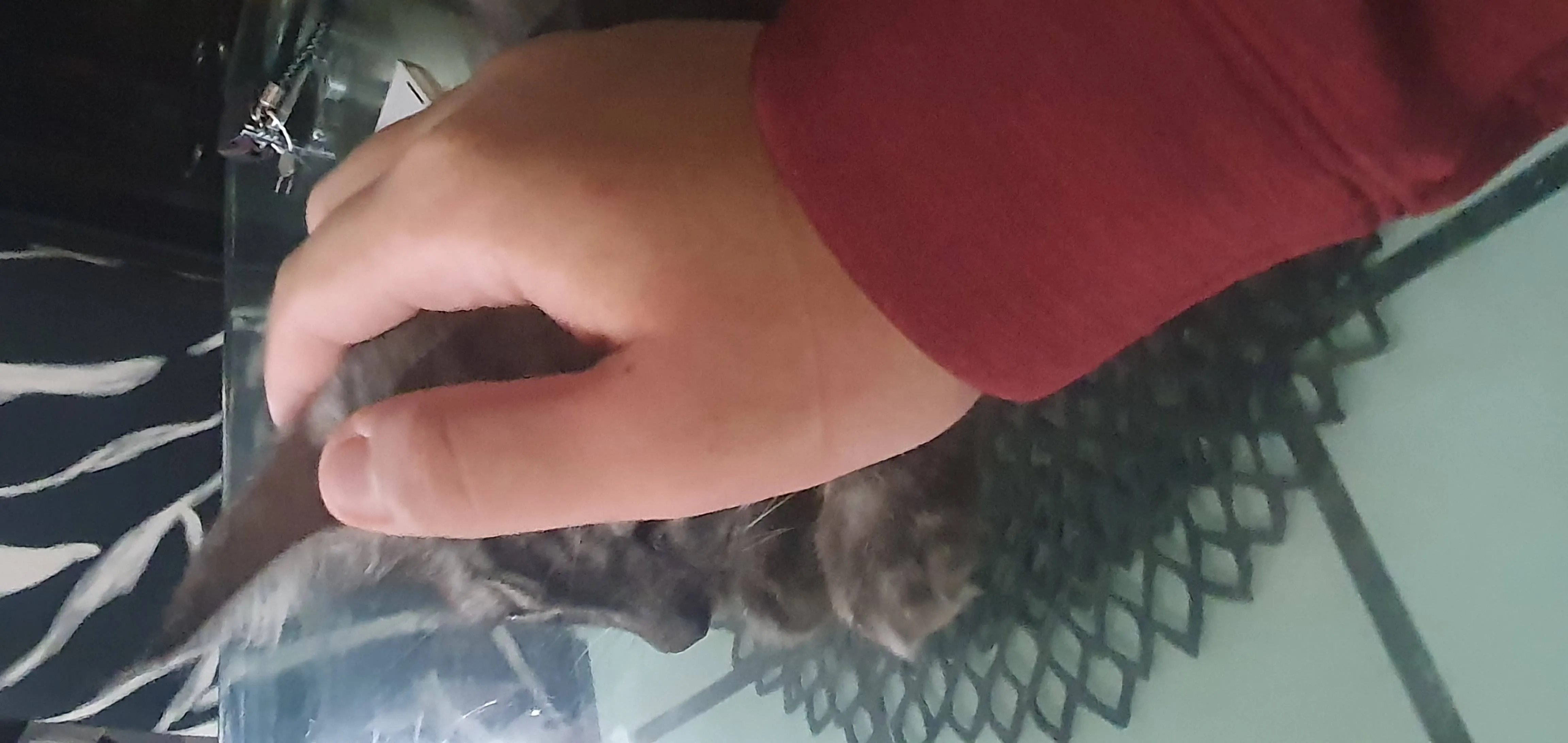 Born In Configuration, Моды, Minecraft