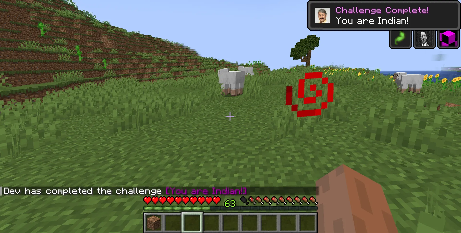 Tschunkie , Моды, Minecraft