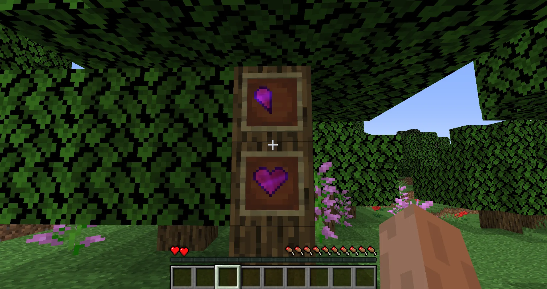 Hardcore RPG Health, Моды, Minecraft