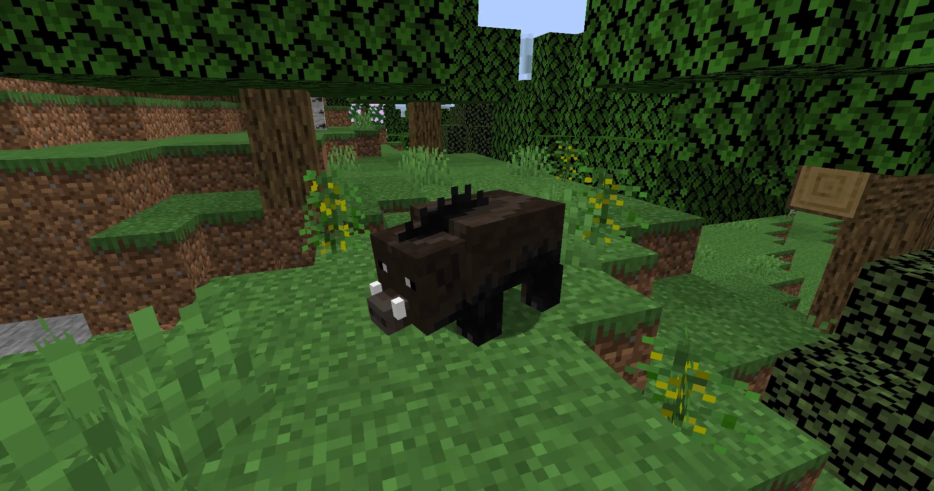 Rakuto's Mystical Adventure, Моды, Minecraft