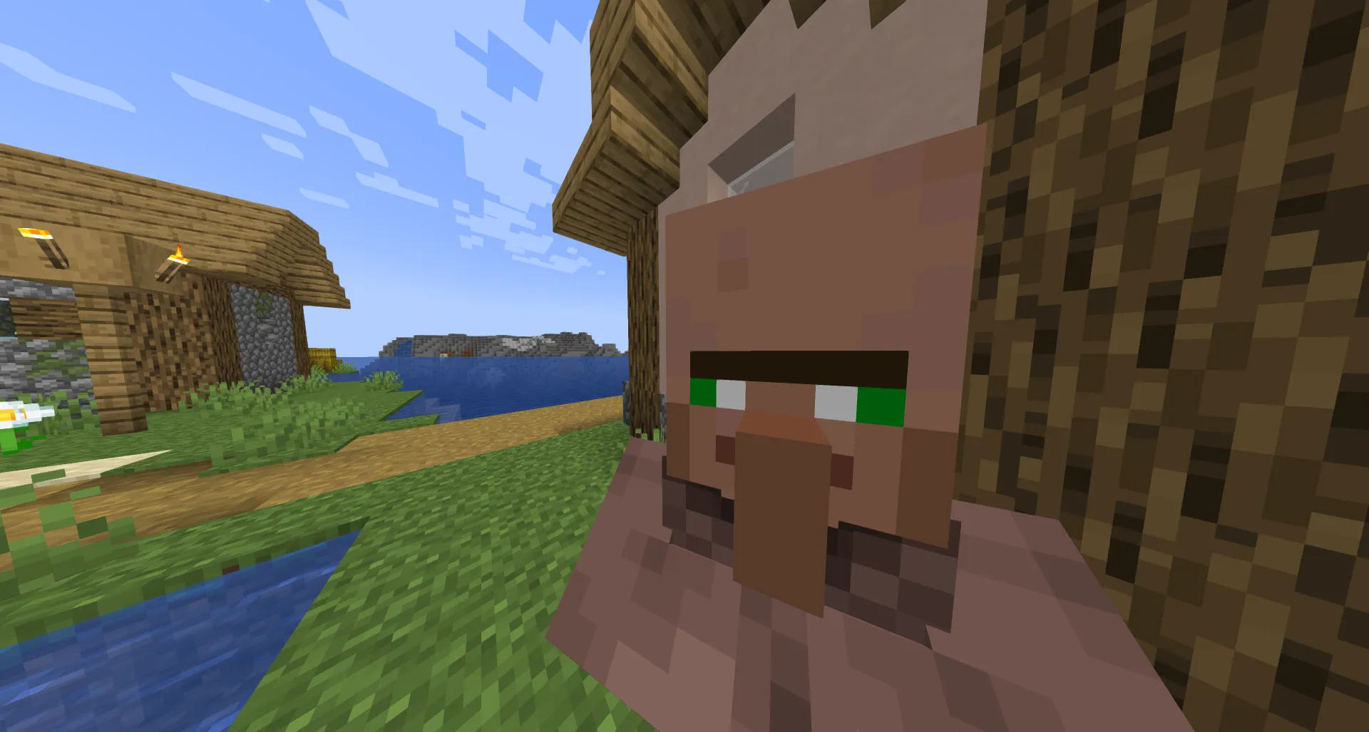 Derpify, Текстуры, Minecraft