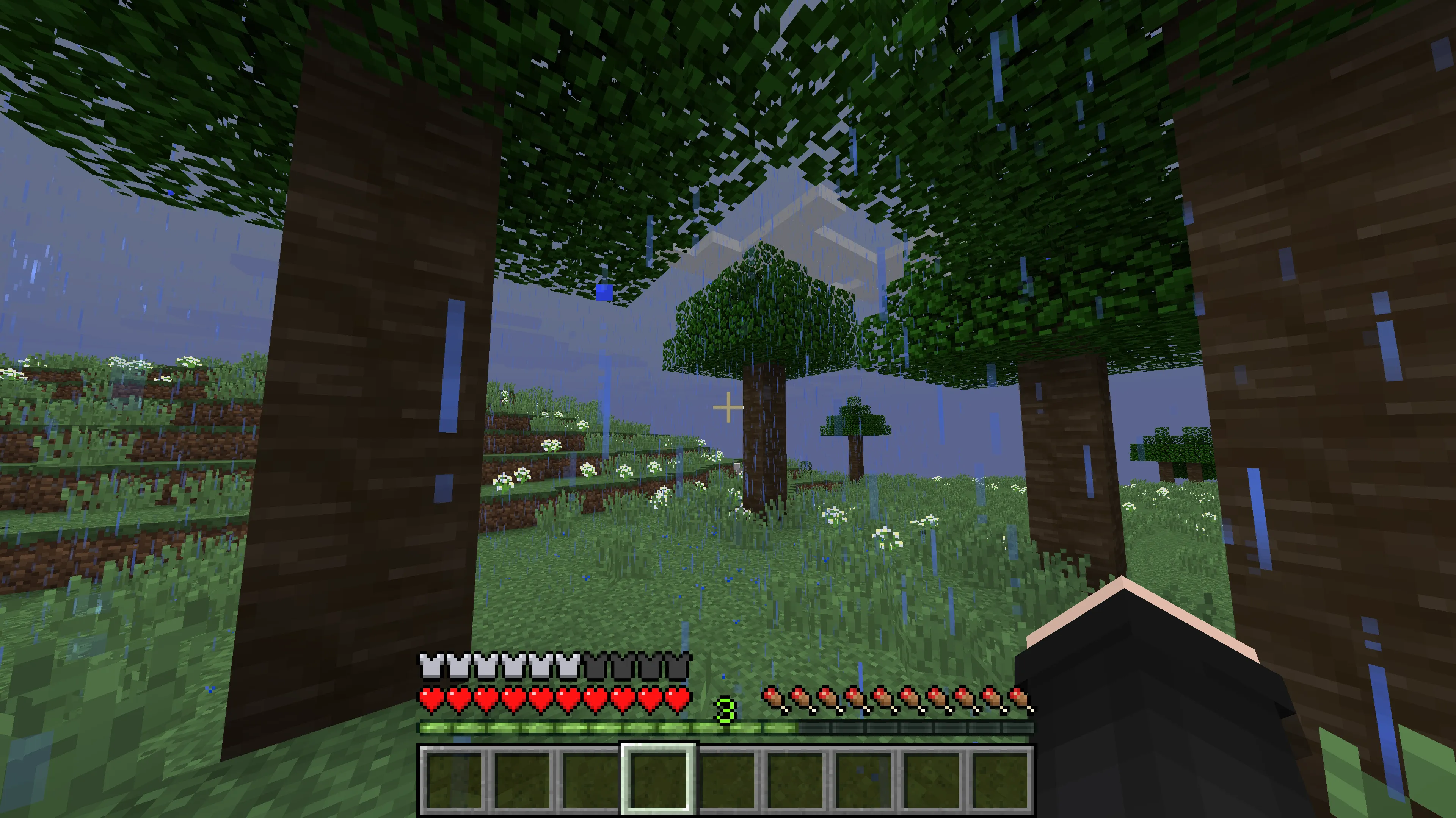 Magyar Harc és Konyha egy új világban(Hungarian Fighting and Cuisine in a New World), Моды, Minecraft