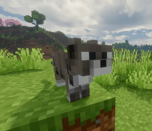 MineCat, Моды, Minecraft