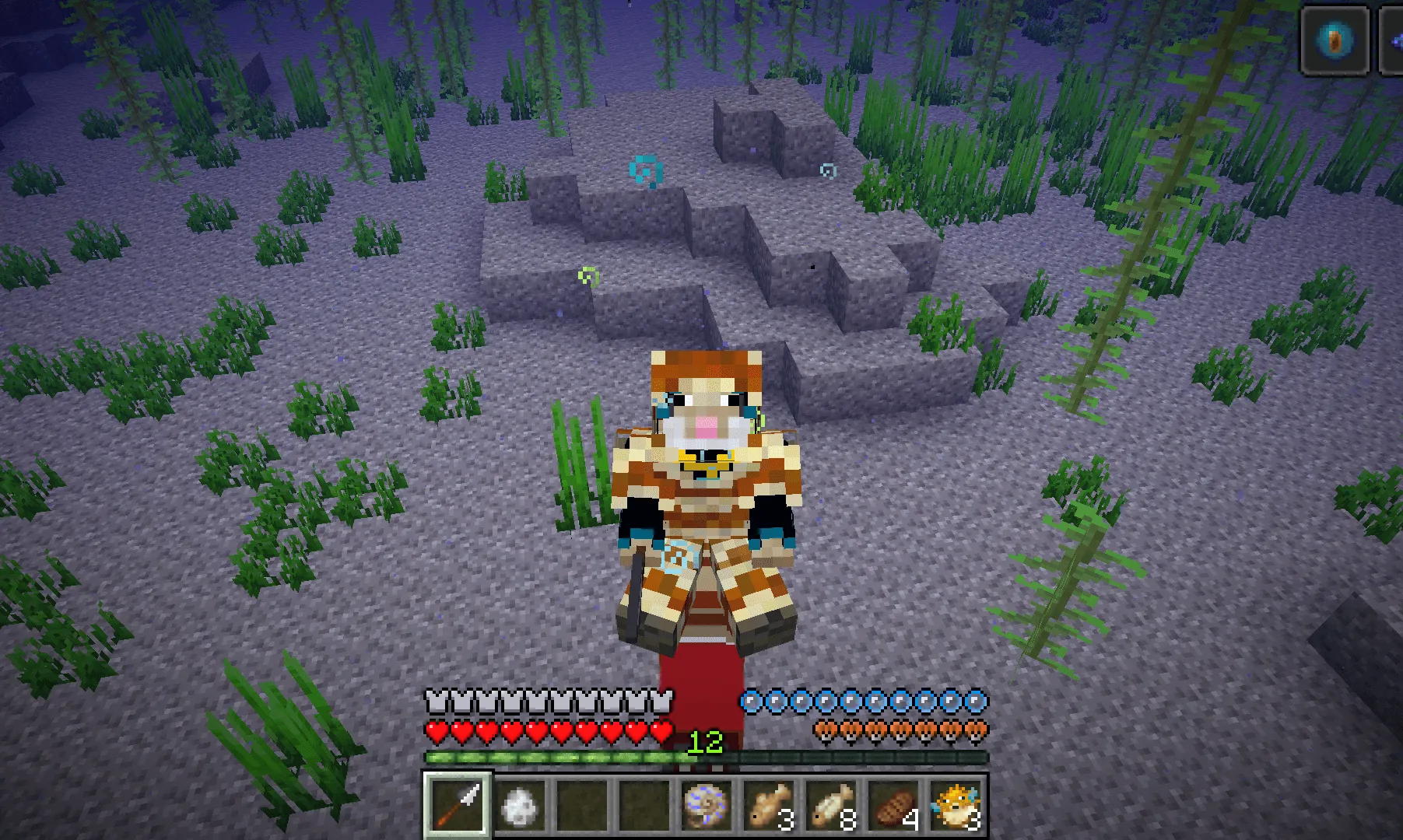 Wollcrafter's Nautilus, Моды, Minecraft