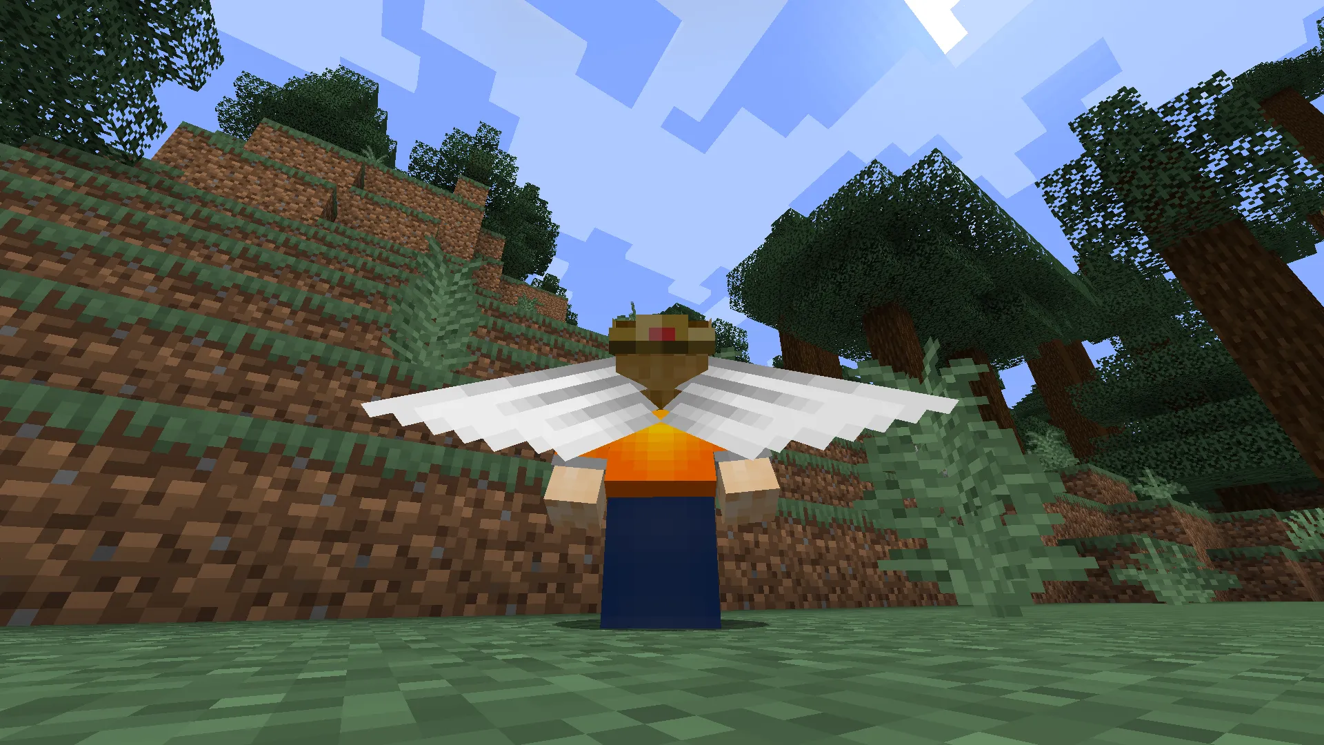 Cosmetic Elytra, Текстуры, Minecraft