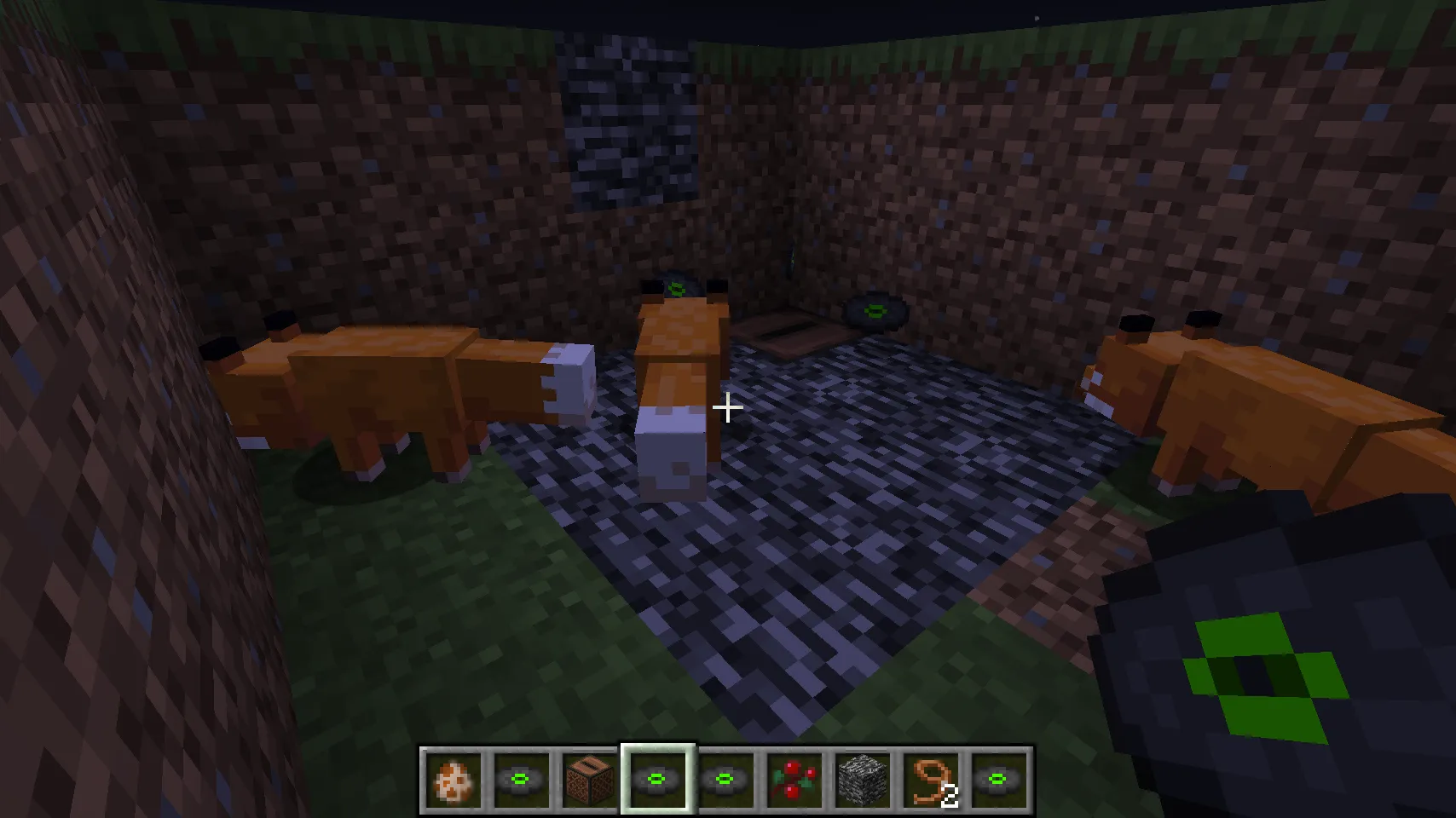 The Spinning Fox: Xof, Моды, Minecraft