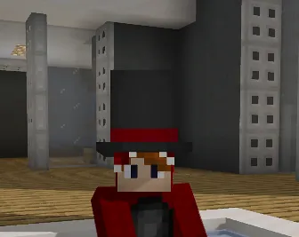Hats, Текстуры, Minecraft