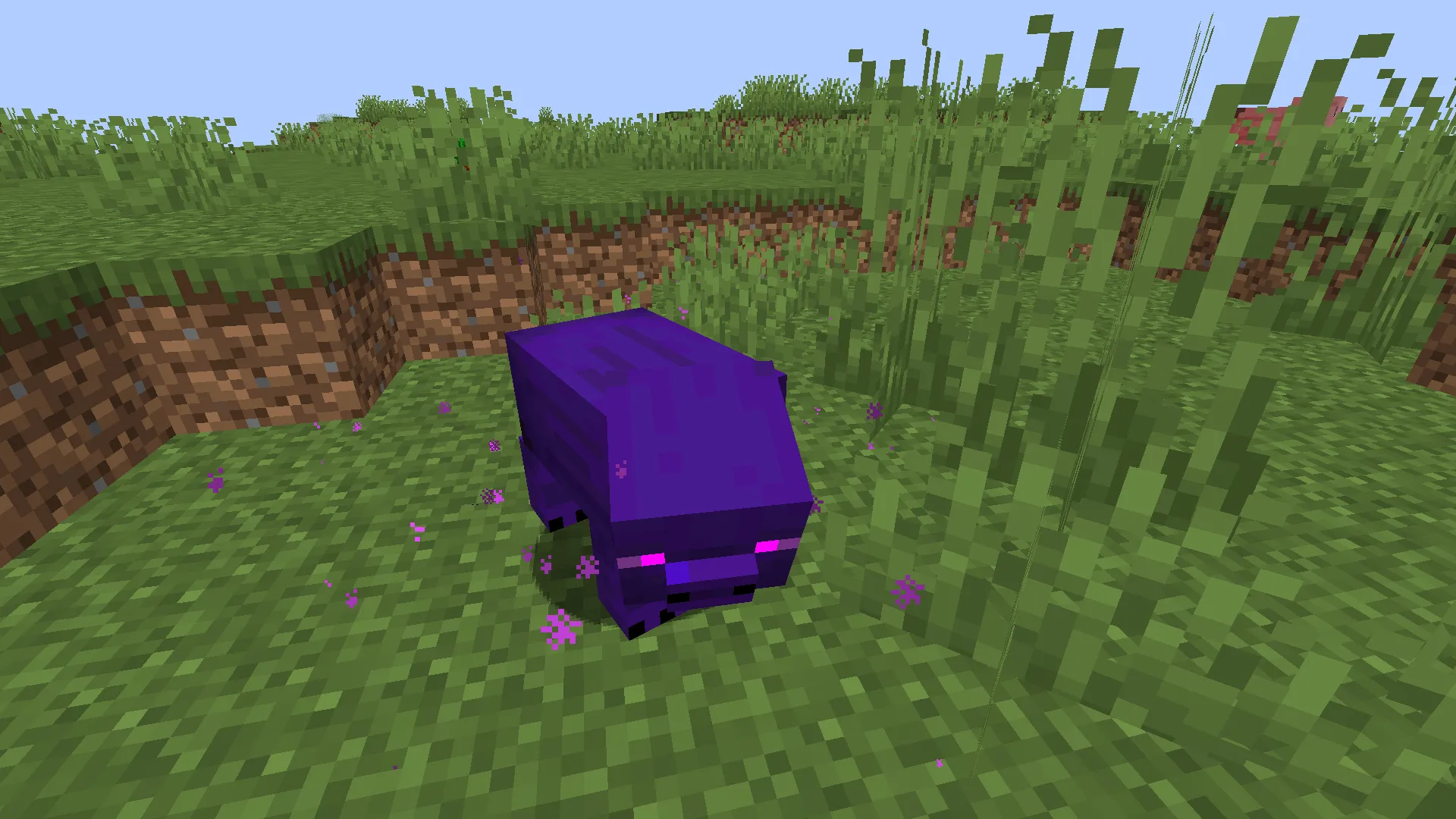 More Pigs, Моды, Minecraft