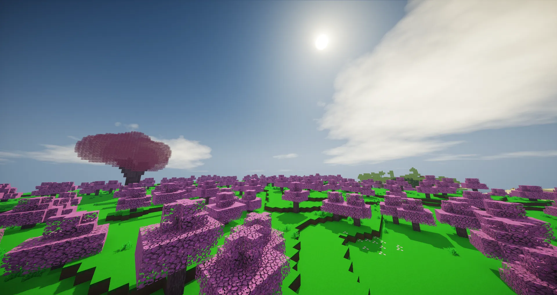 SakuraBJ_Mod, Моды, Minecraft