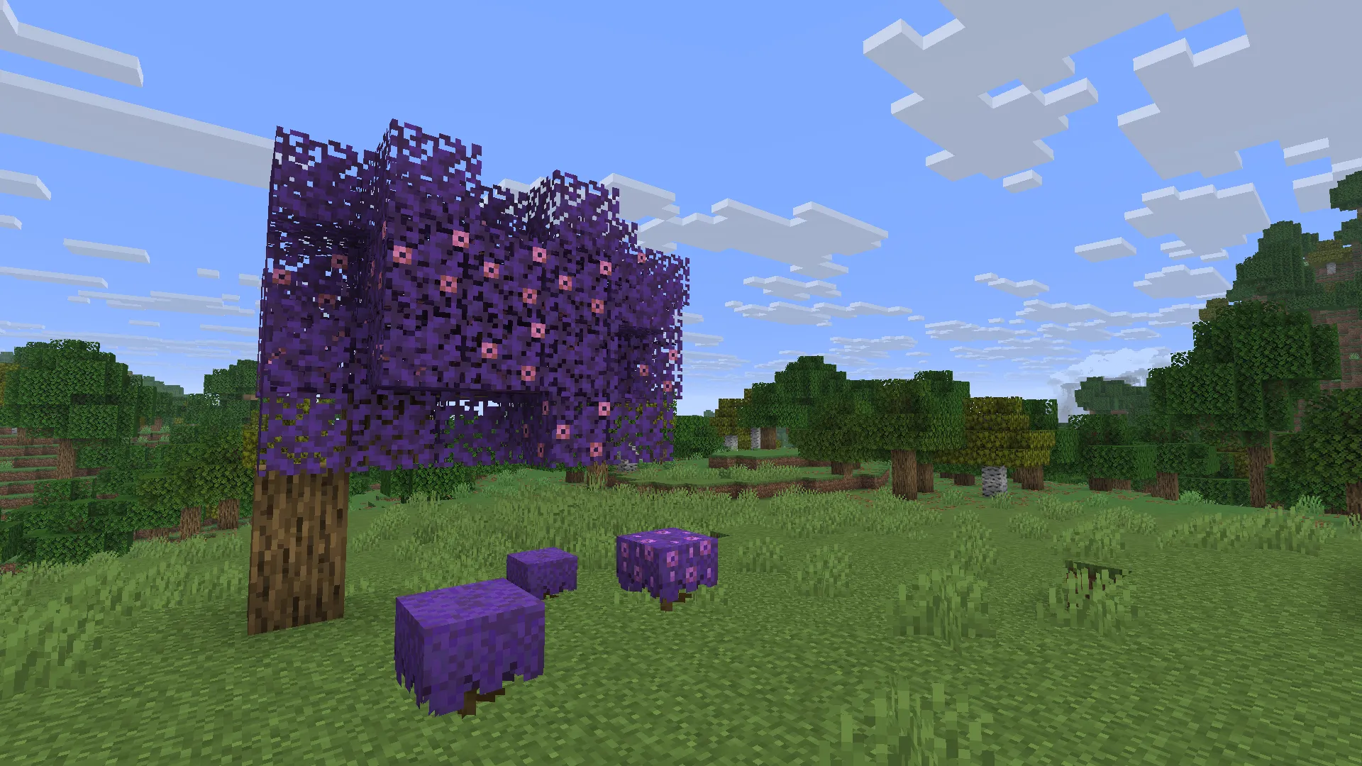 Oh The Textures Weve Got, Текстуры, Minecraft