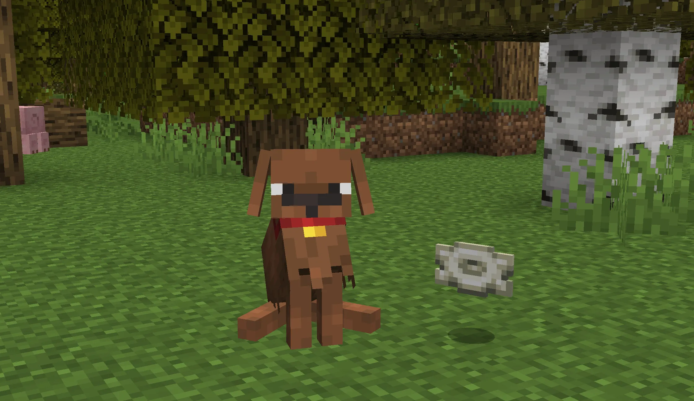 Puppy Paws, Моды, Minecraft