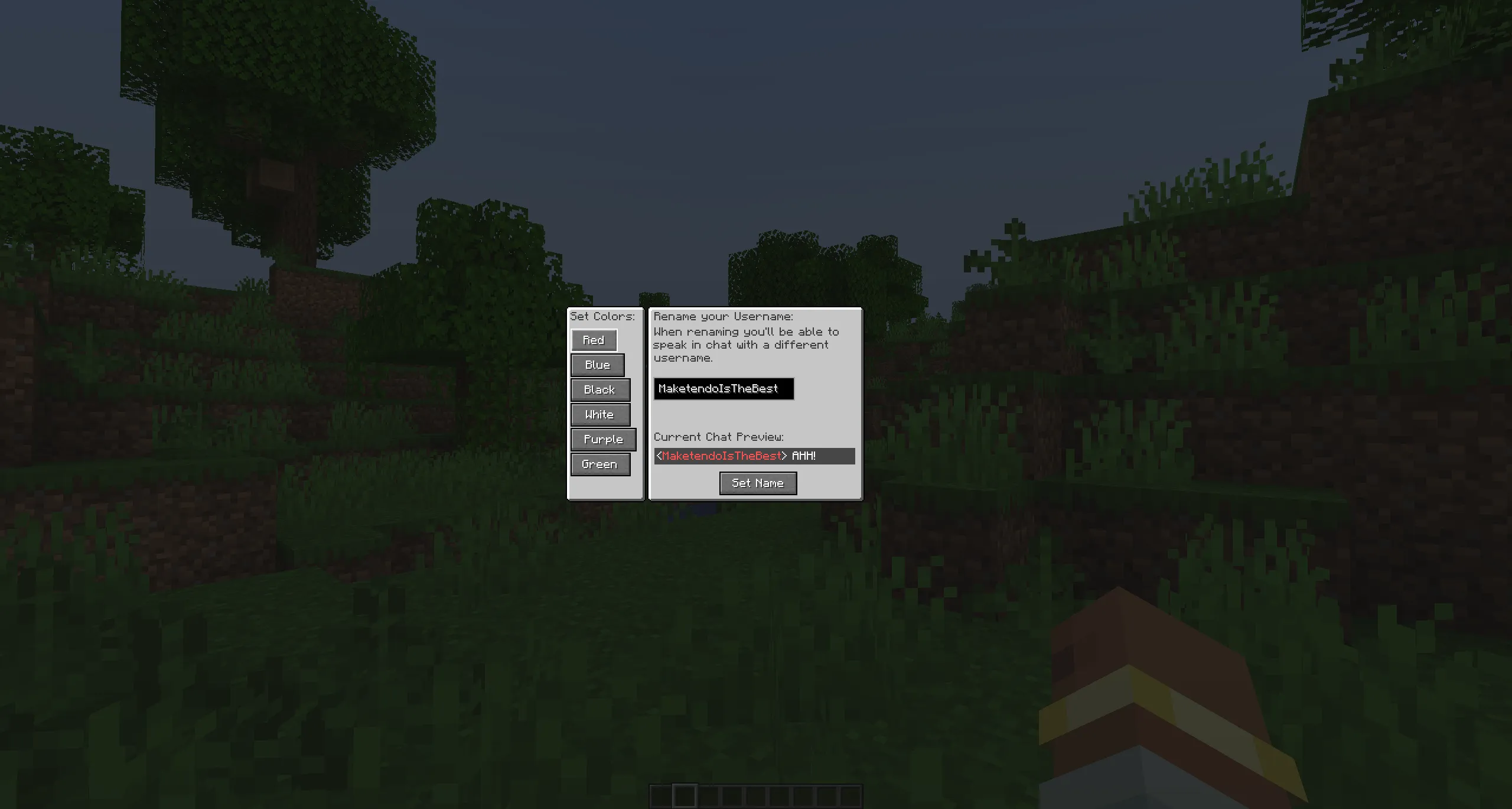 RenameMe, Моды, Minecraft