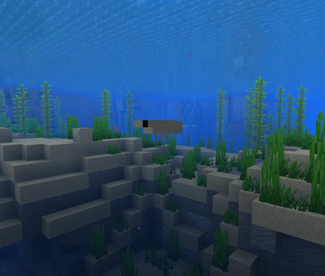 Noah's shrimp, Моды, Minecraft
