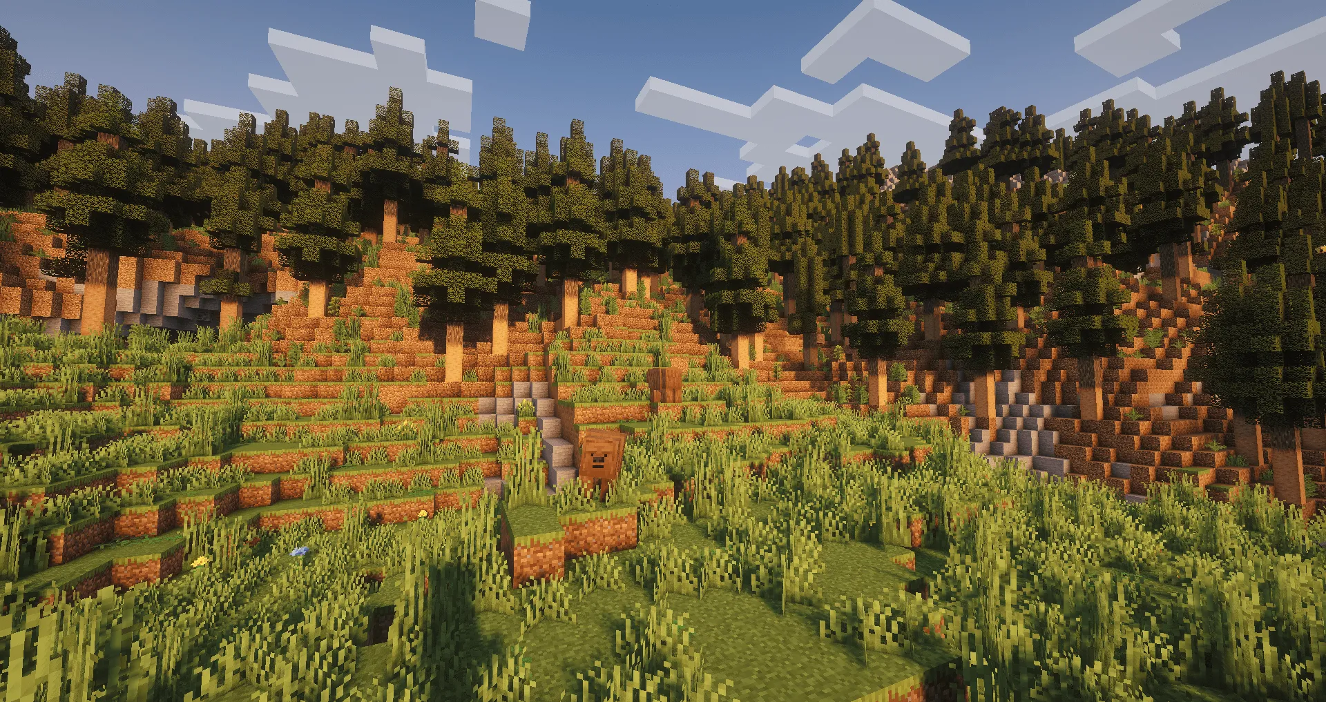 New World Awakened — скриншот 2 (Модпаки, Minecraft)
