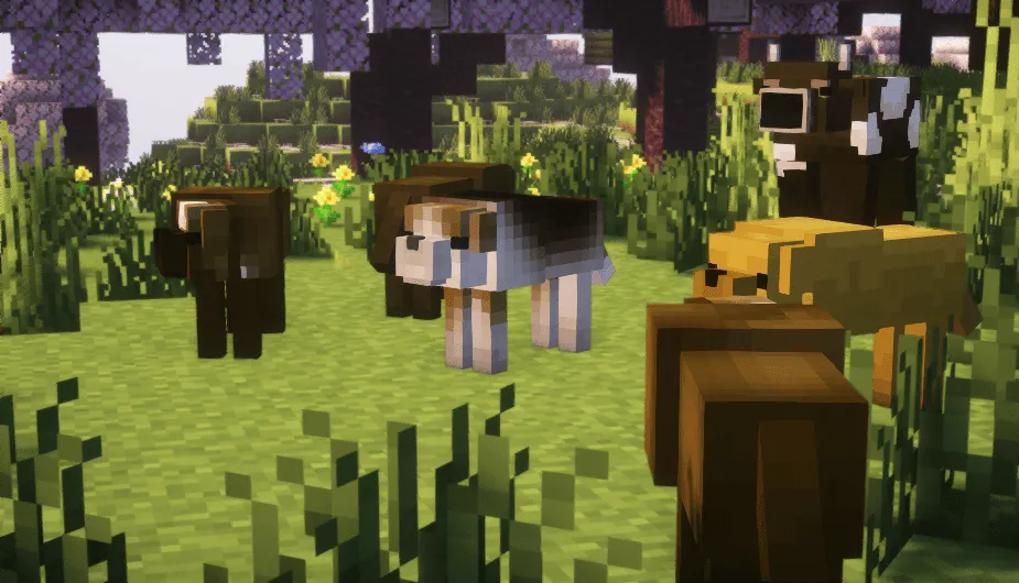 Better Craft Texture, Текстуры, Minecraft