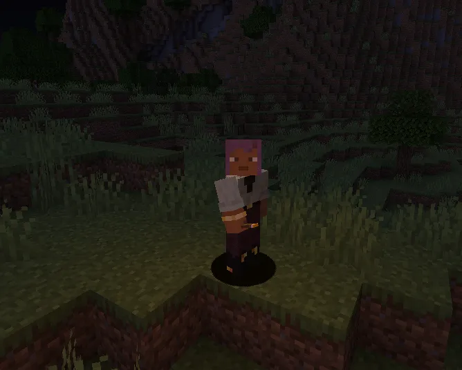 Flashables, Моды, Minecraft