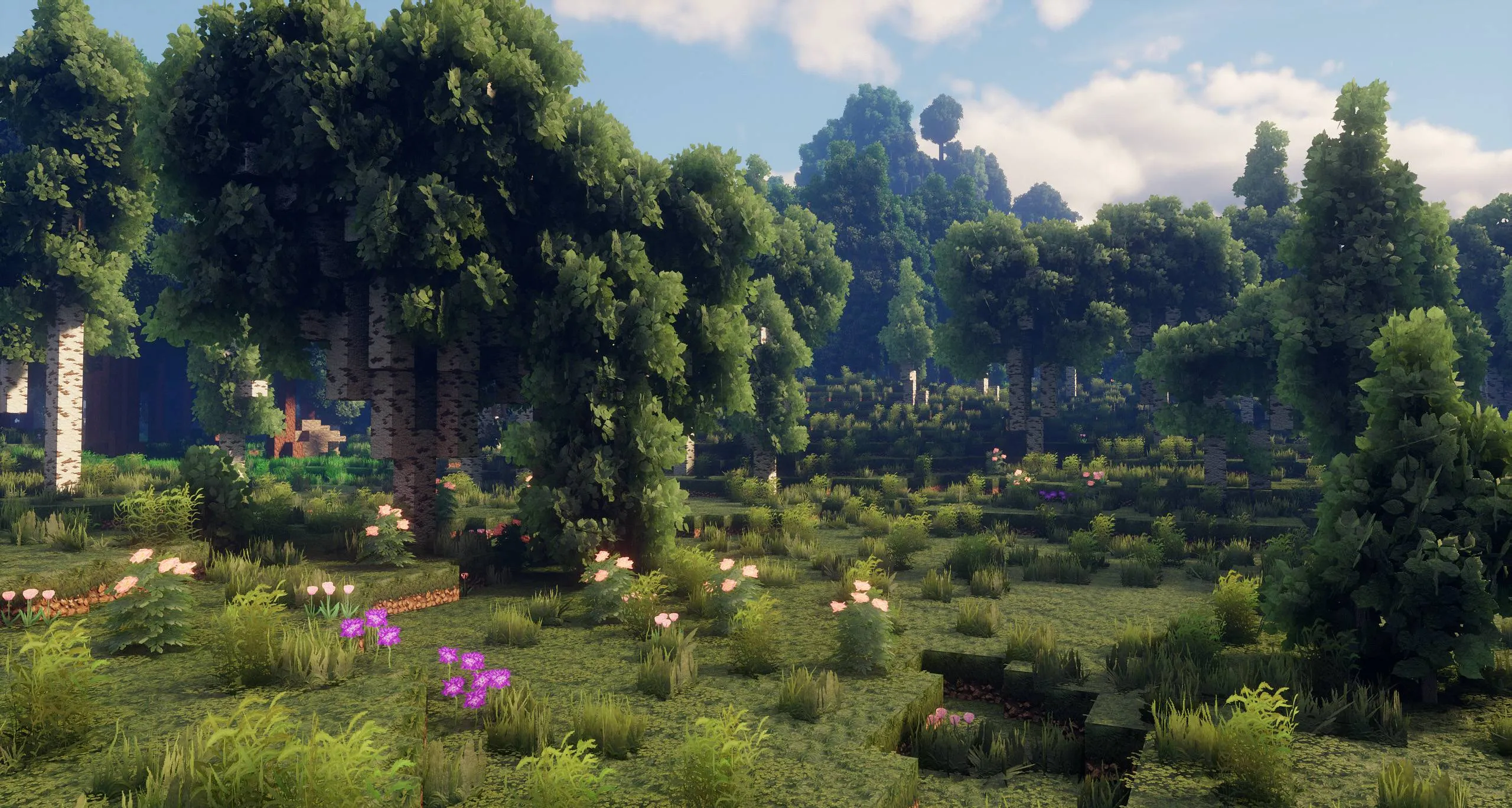 COVEN [64x-512x] [No Optifine], Текстуры, Minecraft