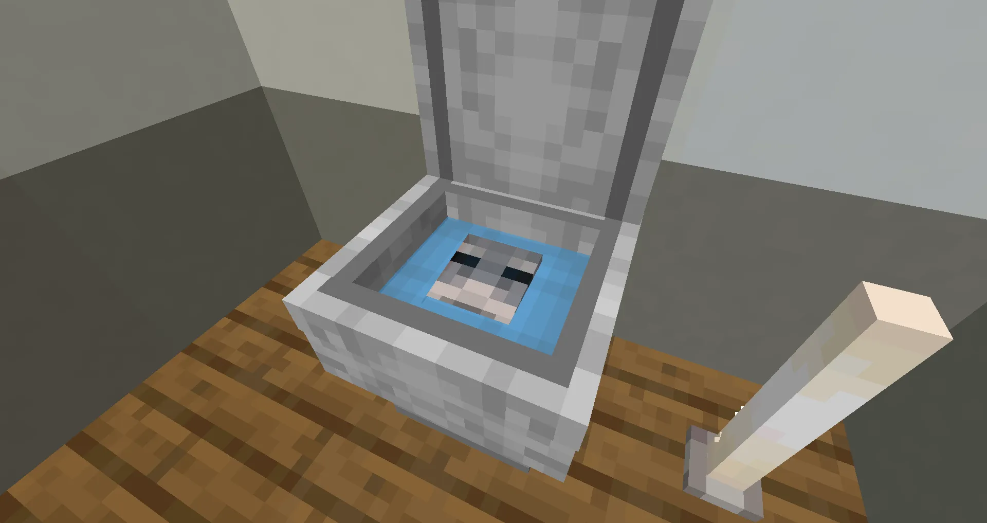 SCP-789-J, The Butt Ghost, Моды, Minecraft