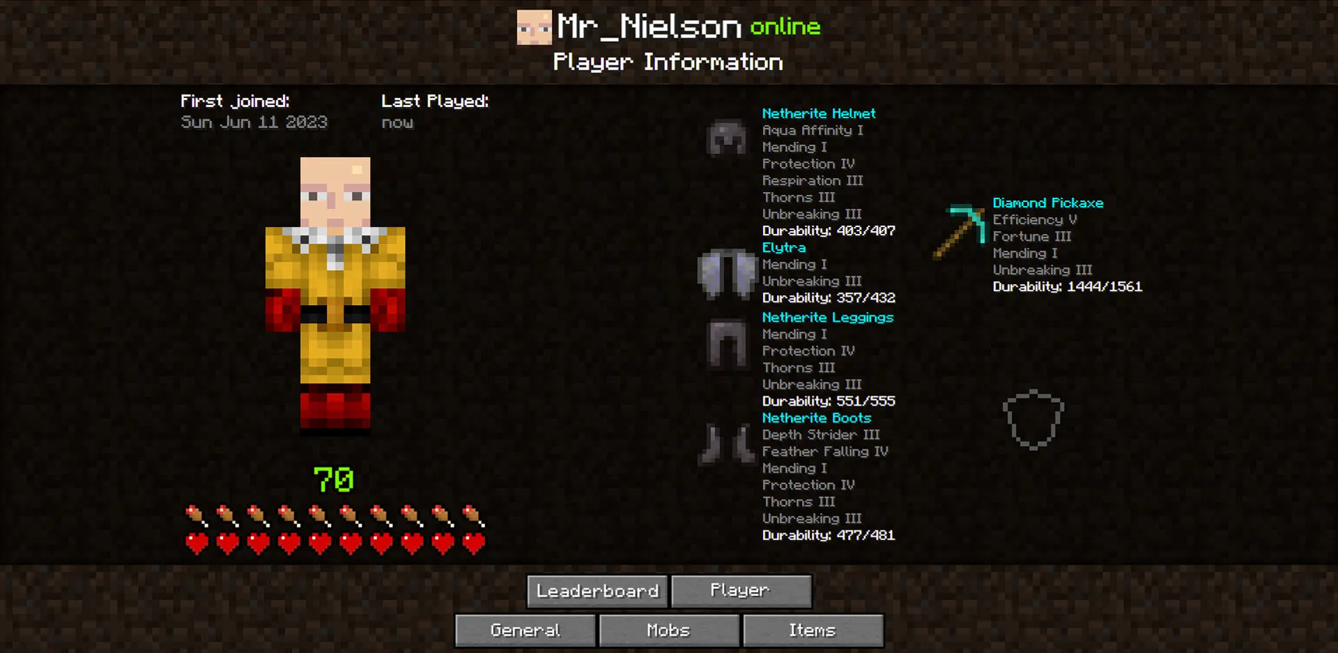 Web Statistics — скриншот 2 (Плагины, Minecraft)