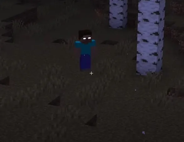 Toiu Herobrine 3.0, Моды, Minecraft