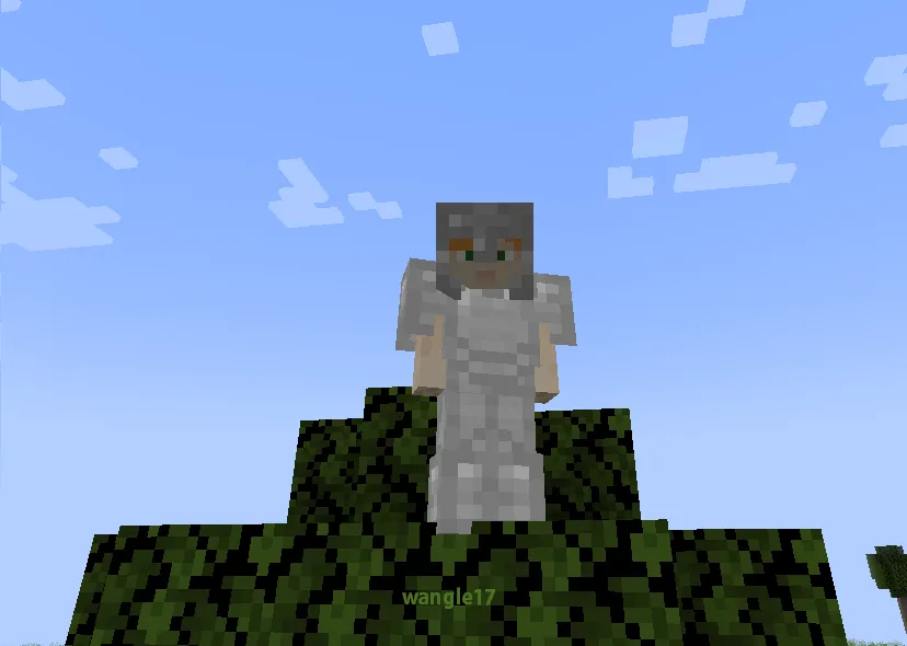 netherite shape iron armour, Текстуры, Minecraft