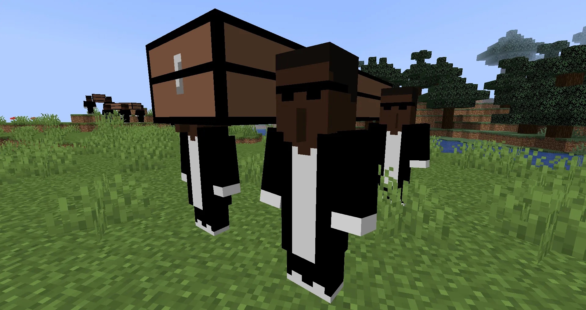 Coffin Dance Meme, Моды, Minecraft