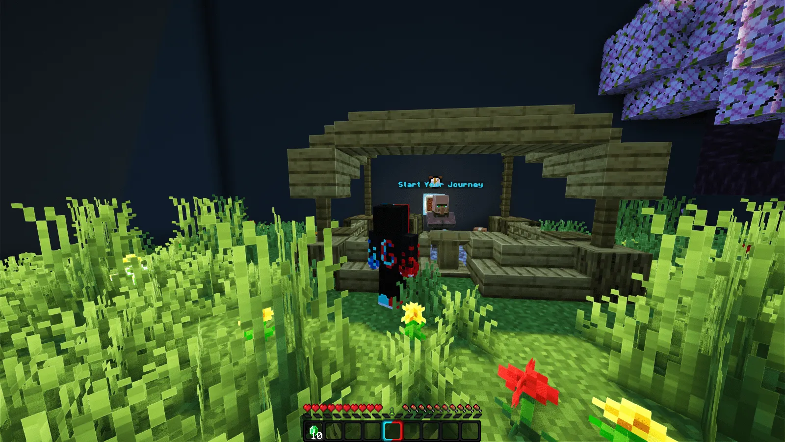 MinerChunk, Карты, Minecraft