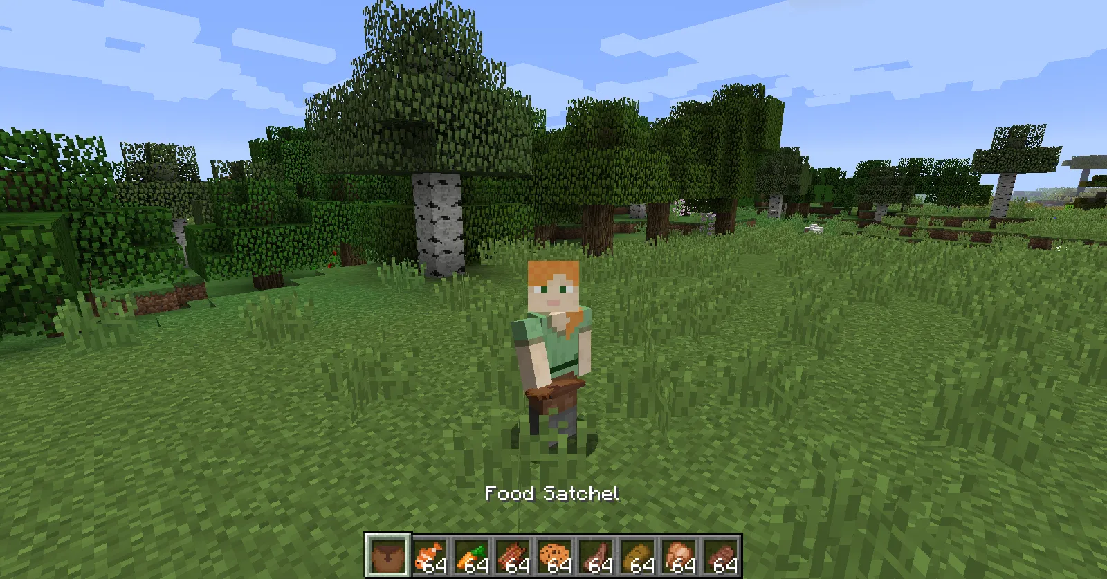 Quantity Satchels, Моды, Minecraft
