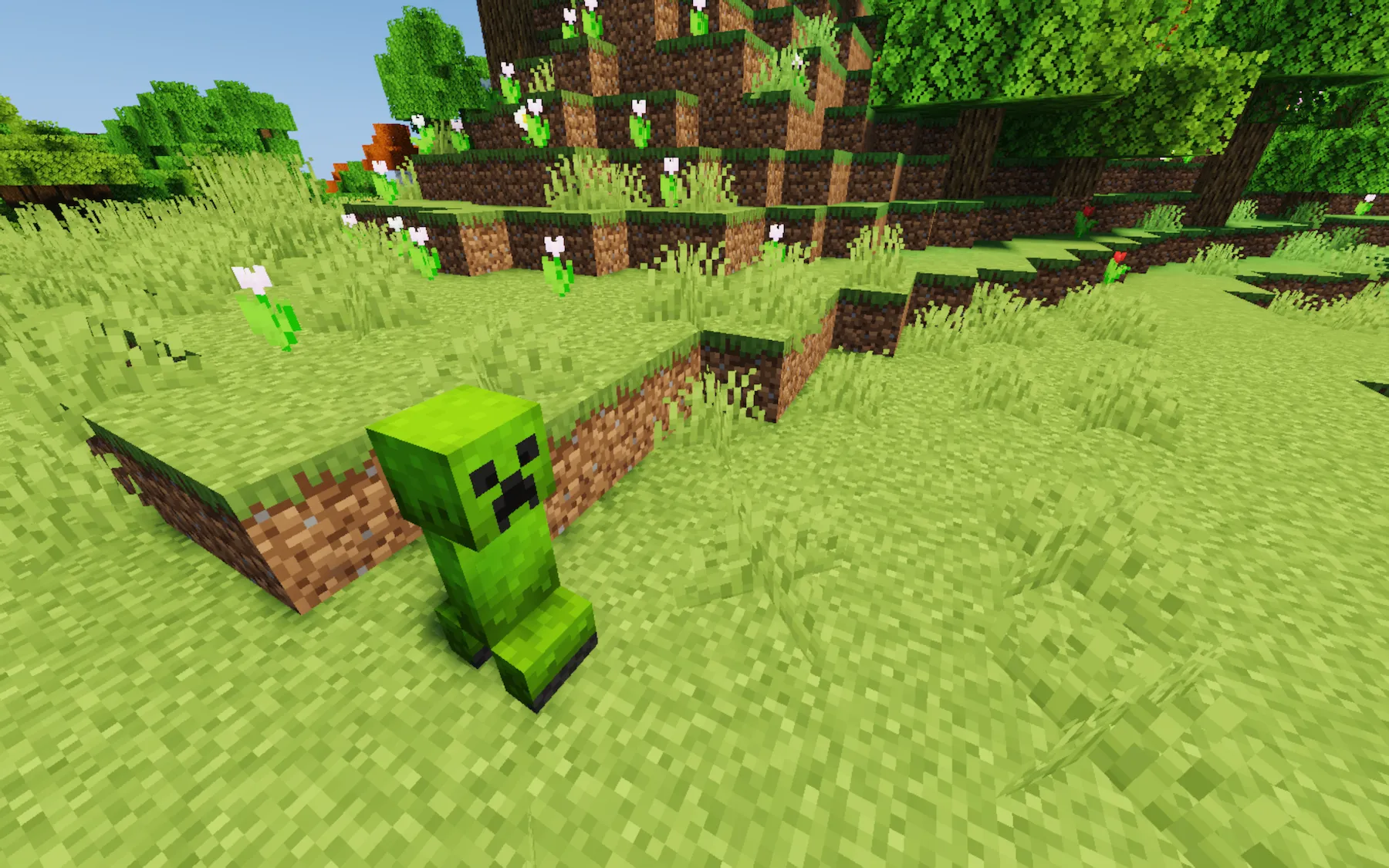 Camouflaged Creepers, Текстуры, Minecraft