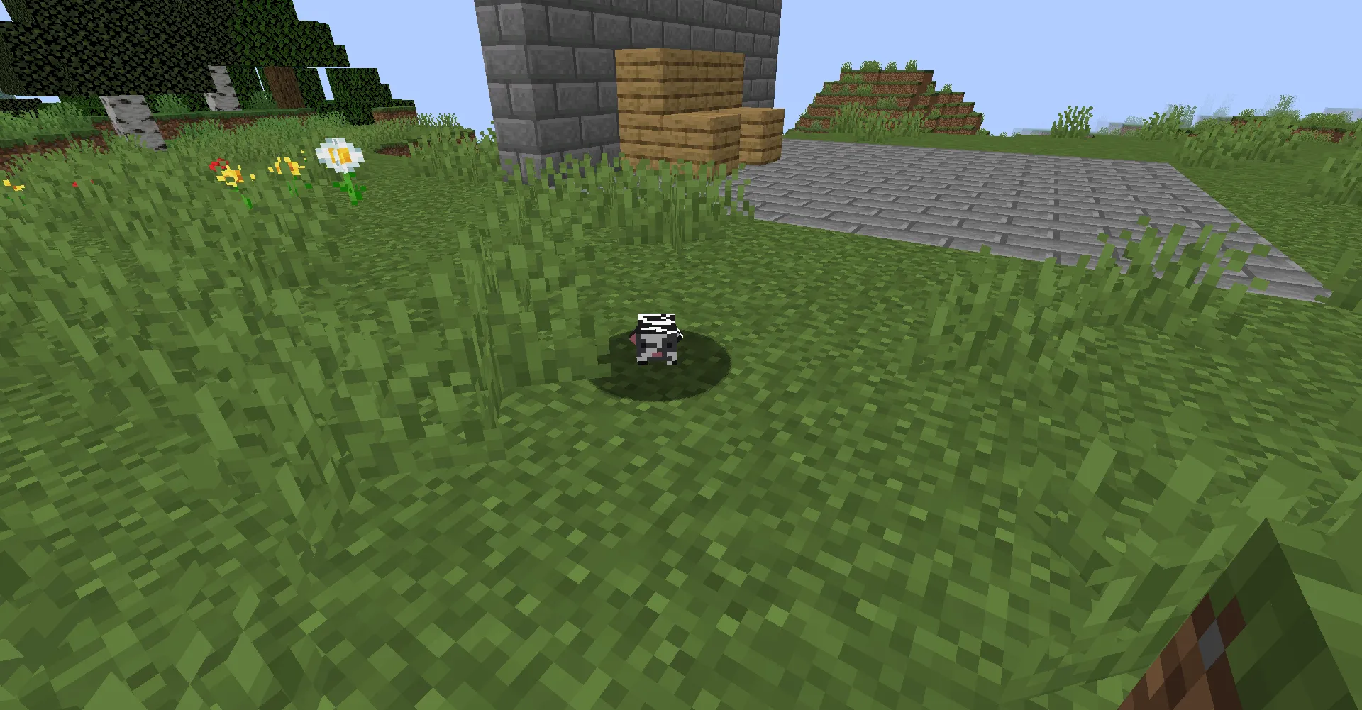 Rodents and bears[Currently discontinued] , Моды, Minecraft