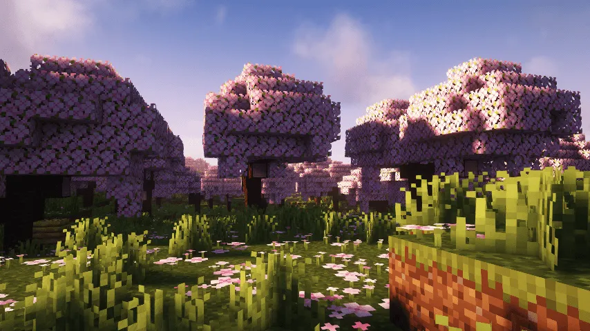 AstralCore v2, Шейдеры, Minecraft