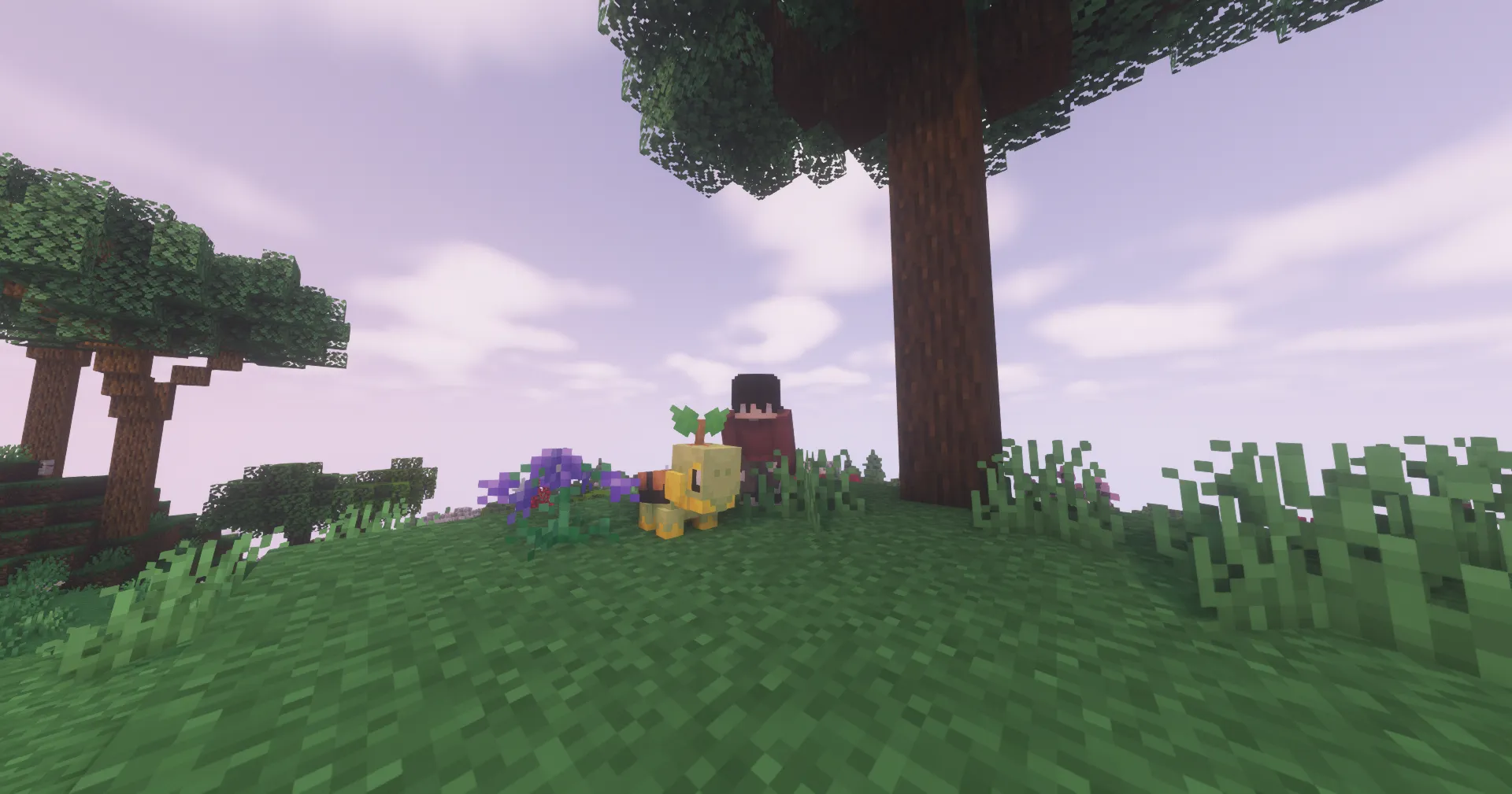 Pokémon Dawn — скриншот 1 (Модпаки, Minecraft)
