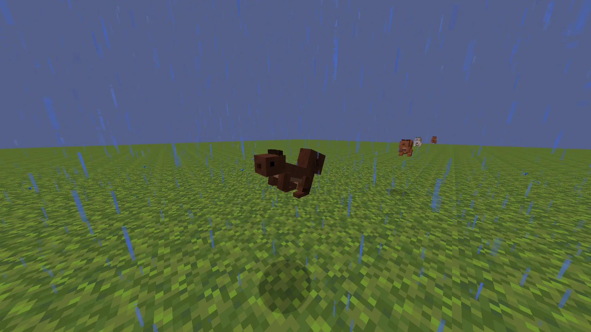 Squirrels — скриншот 3 (Текстуры, Minecraft)