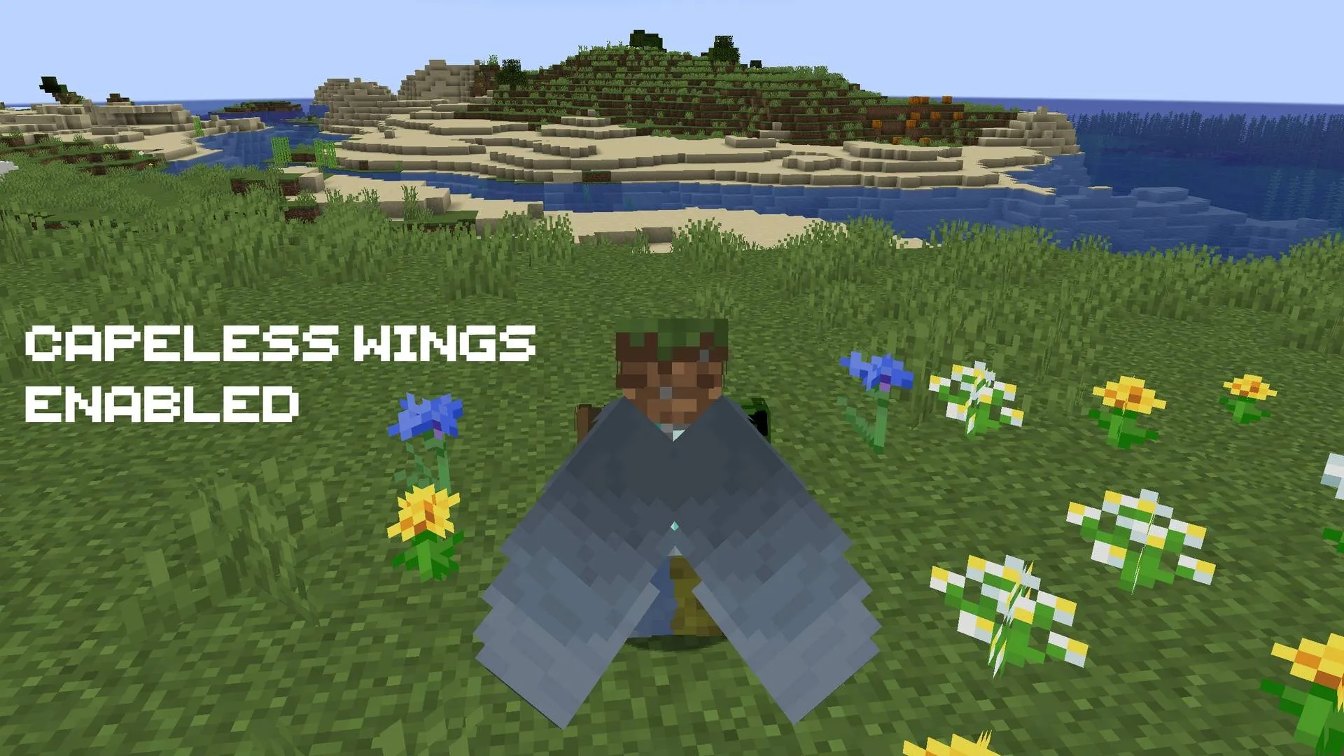 Capeless Wings, Текстуры, Minecraft