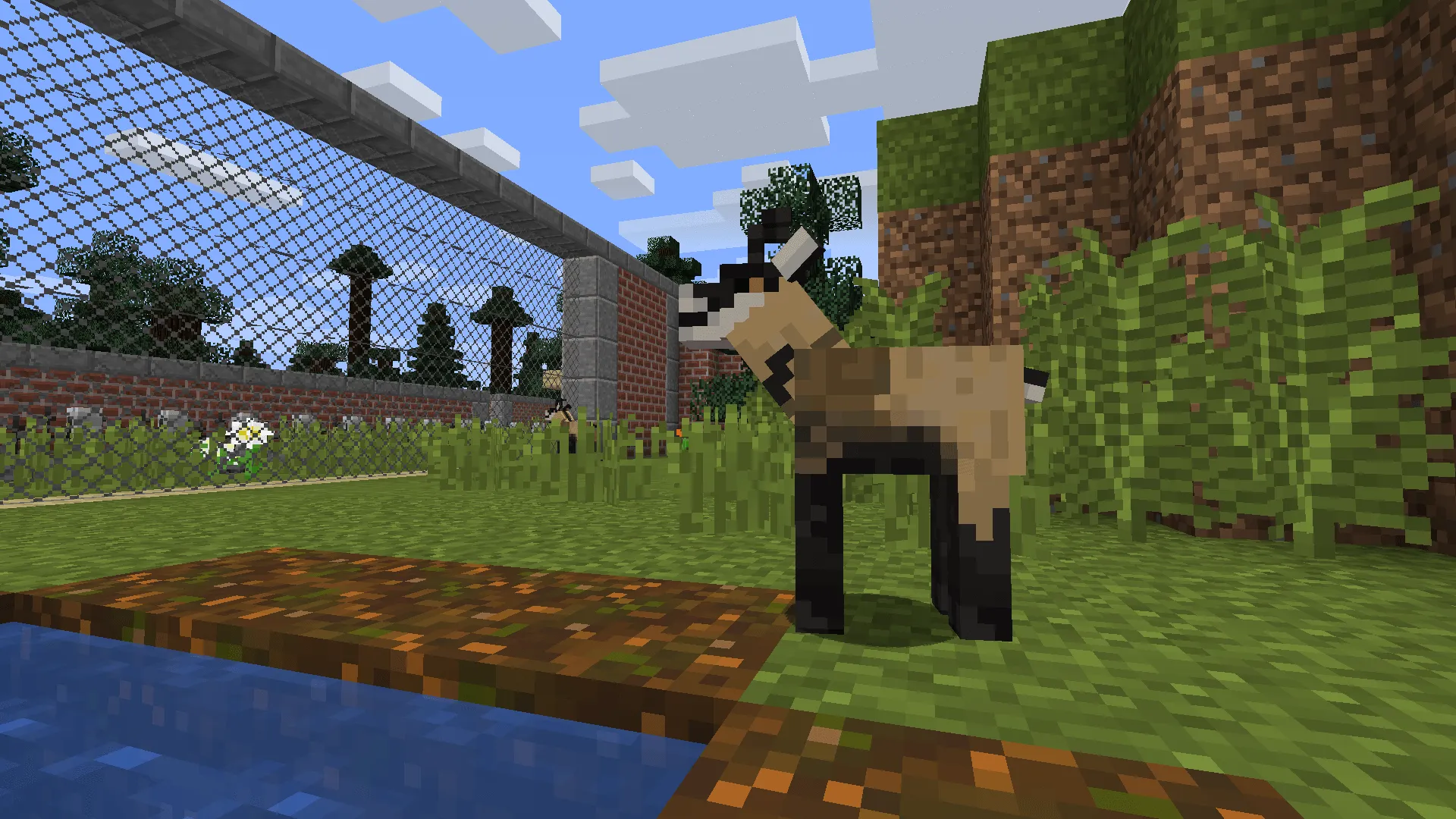European Wildlife — скриншот 14 (Моды, Minecraft)