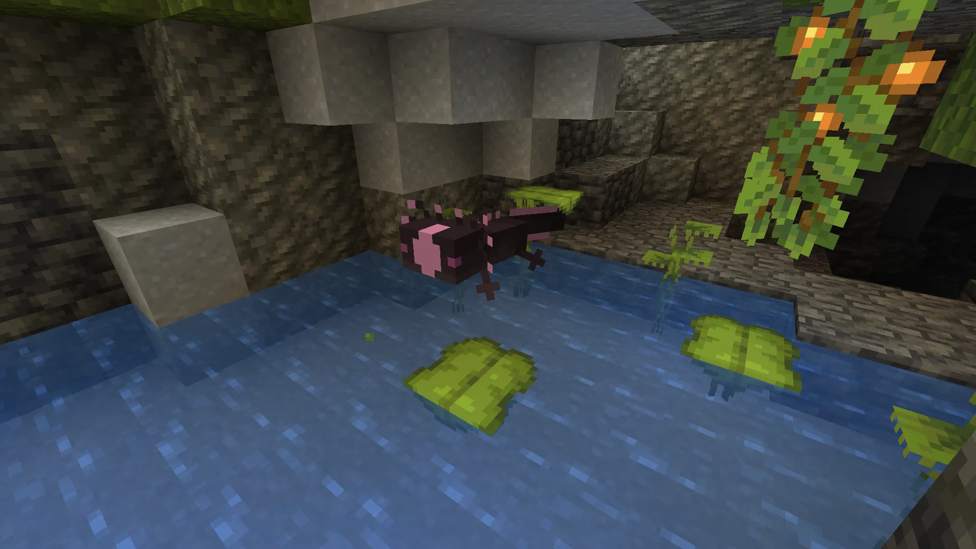 Lissiceous Axolotls, Текстуры, Minecraft