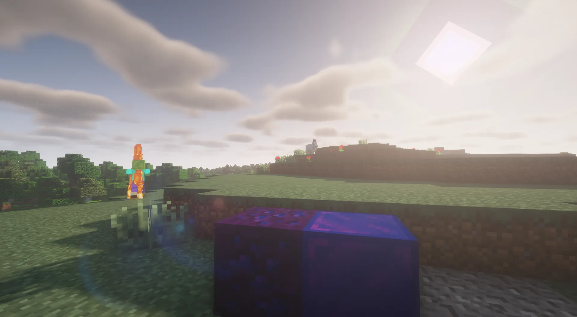 Wdiamondarmor, Текстуры, Minecraft