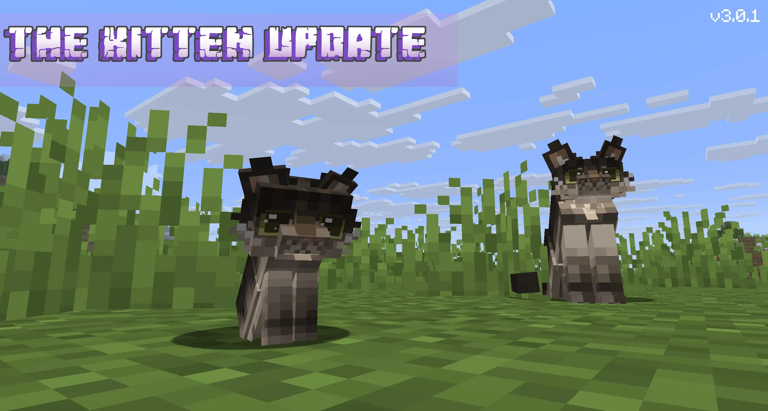 Refined Cats, Текстуры, Minecraft