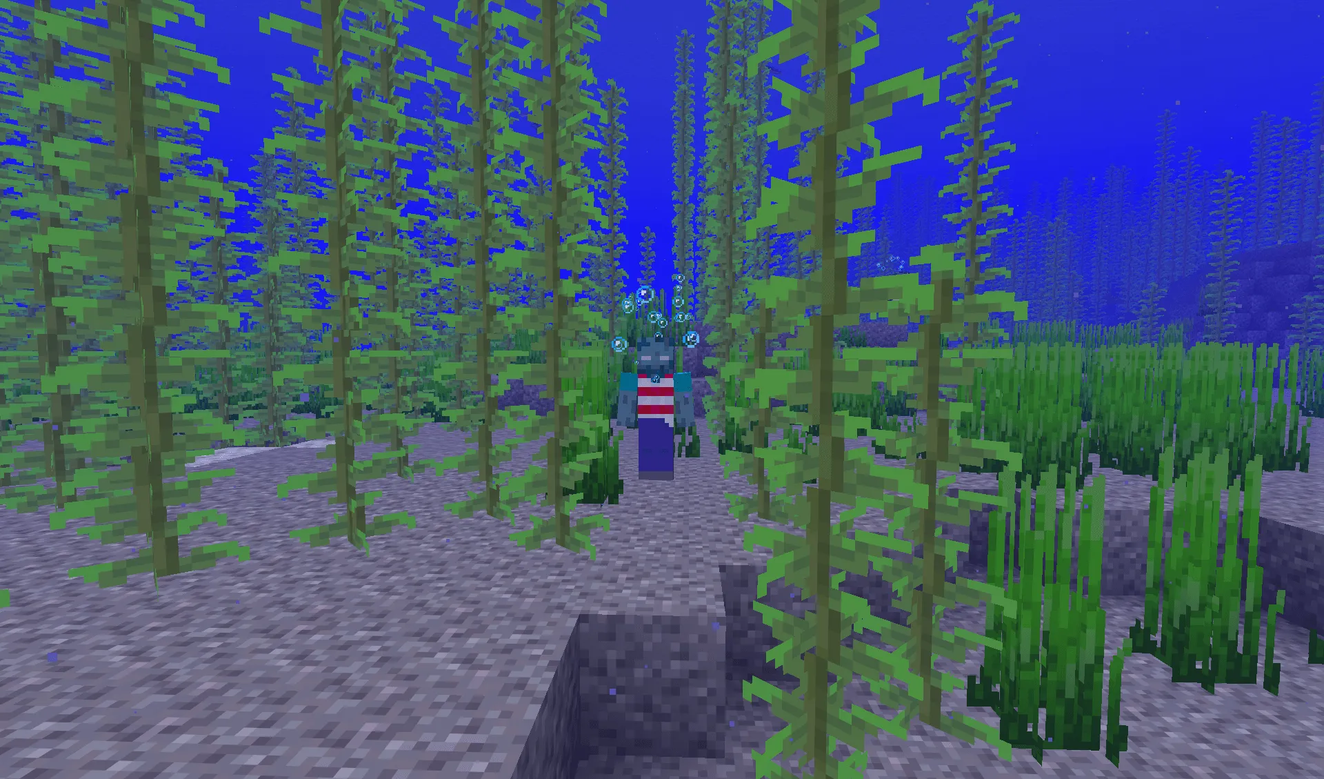 Withered Lands, Моды, Minecraft