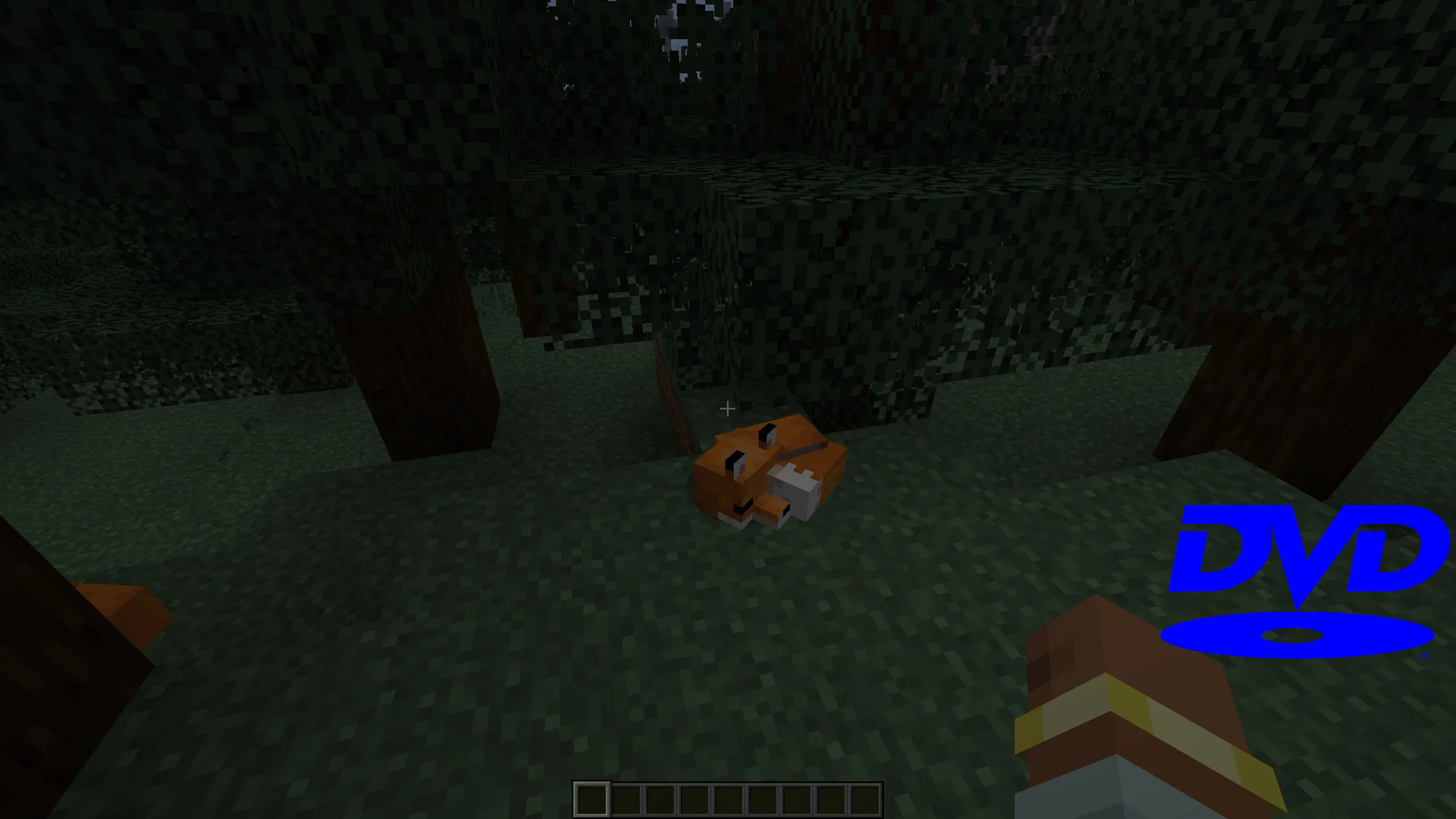 Nostalgia DVD — скриншот 1 (Моды, Minecraft)