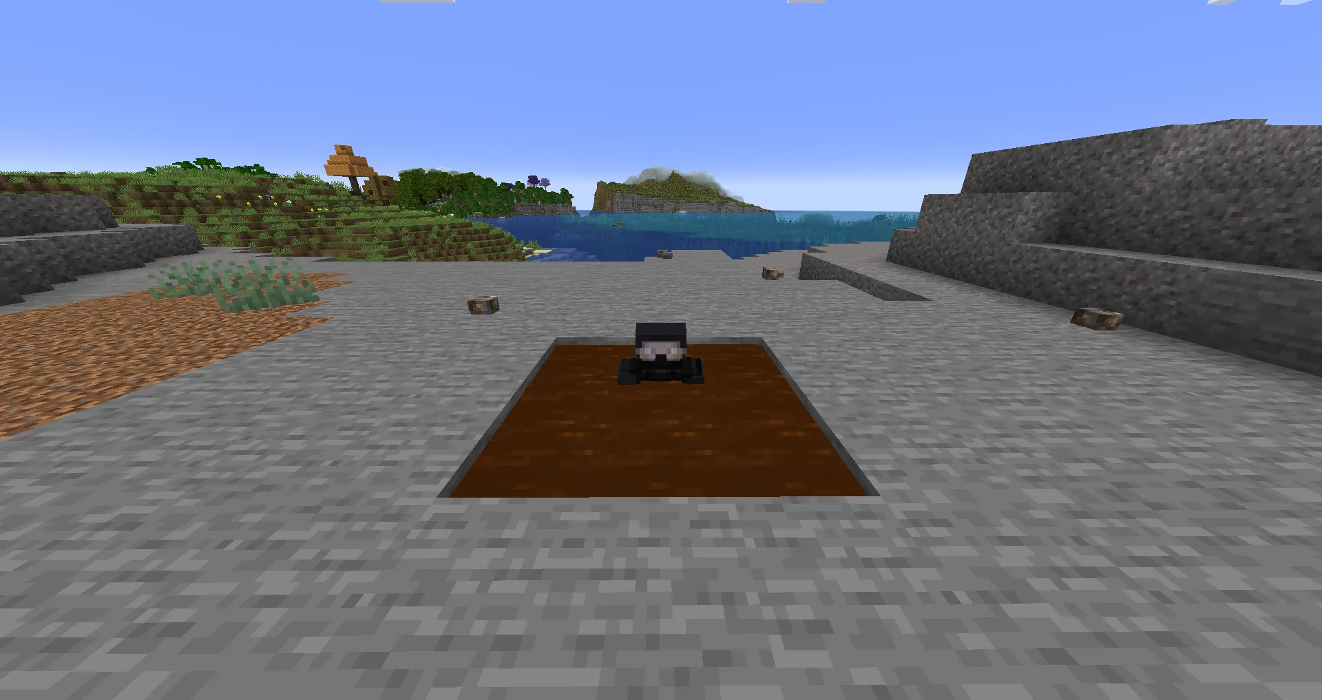 Wali Wonka, Моды, Minecraft