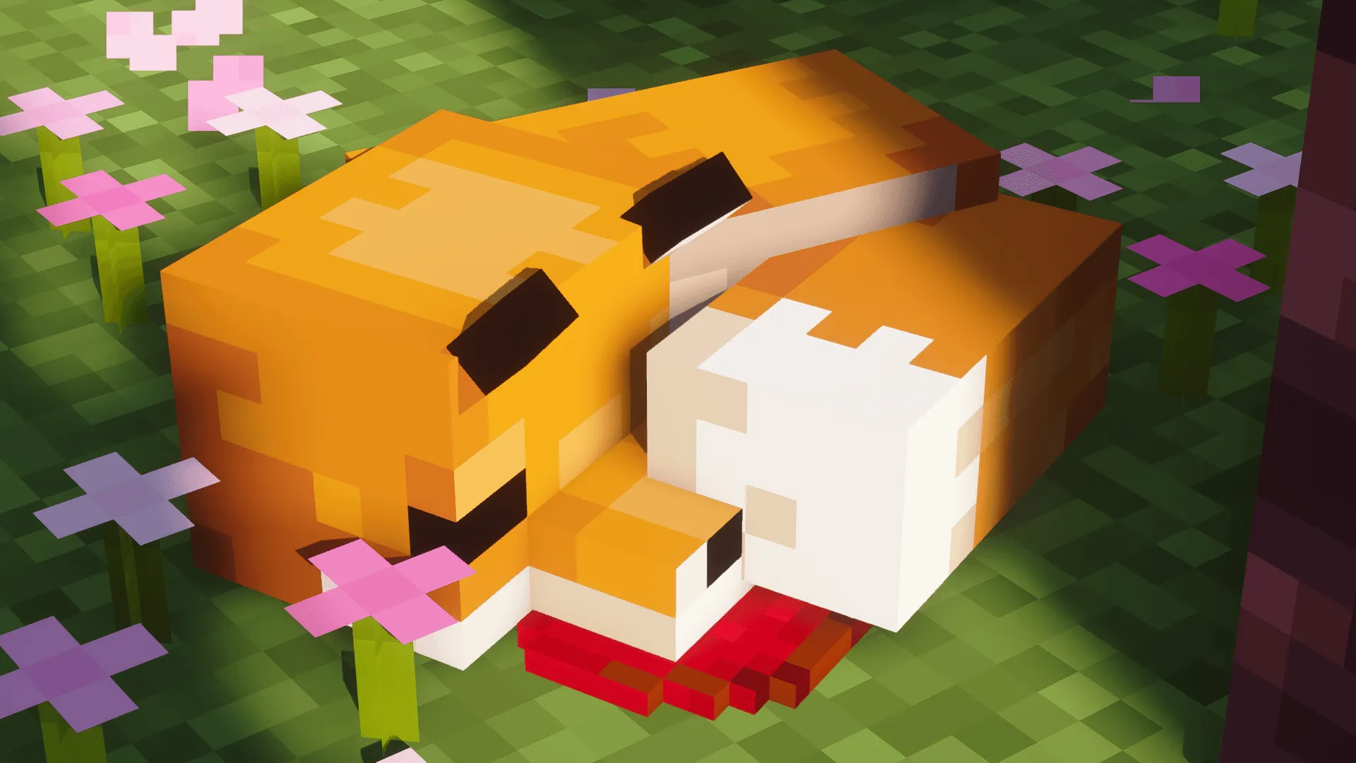 Fox Friend, Моды, Minecraft