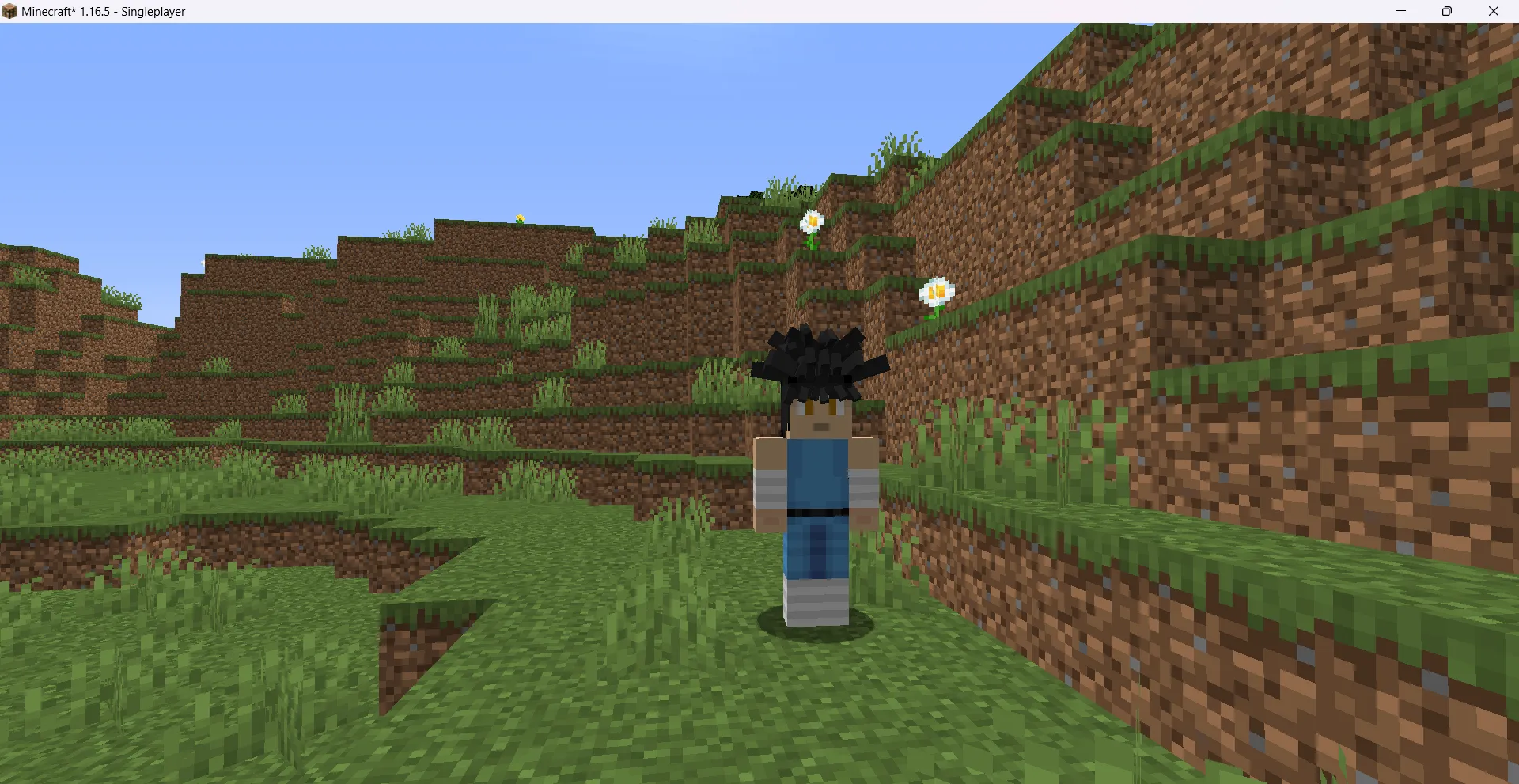 Dragon Craft Quest, Моды, Minecraft
