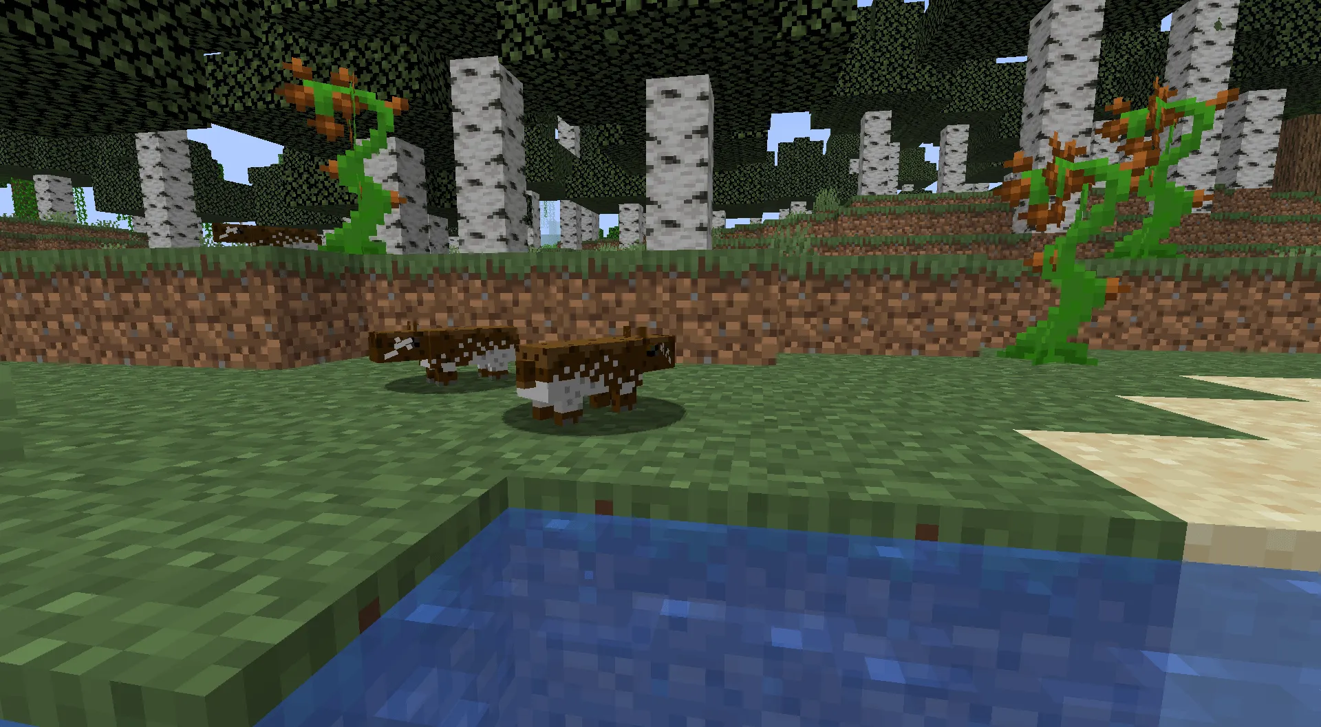 Dimmy's Paca Bash — скриншот 1 (Моды, Minecraft)